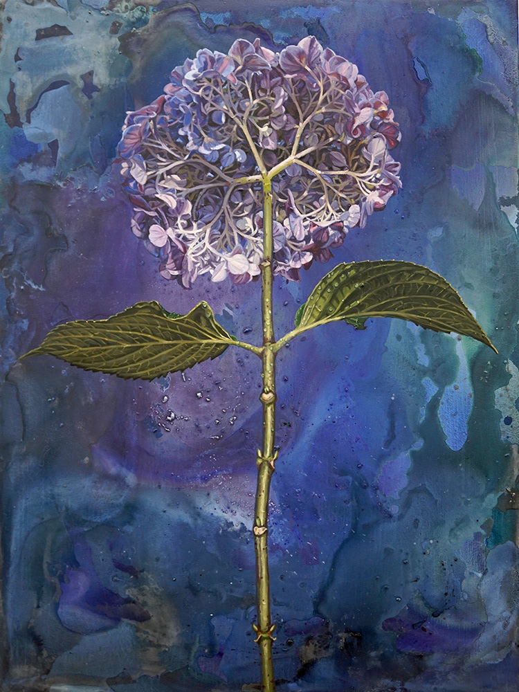 Breathe, 48x36, 2017, (Hydrangea)