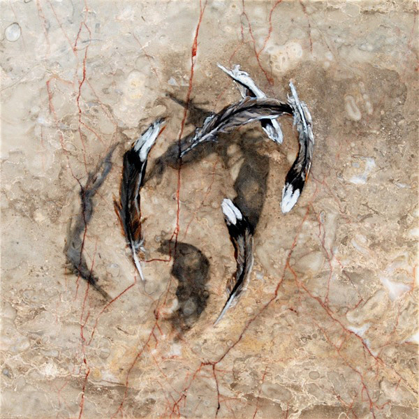 Five Dove, oil on marble, 12"x12", 2013
