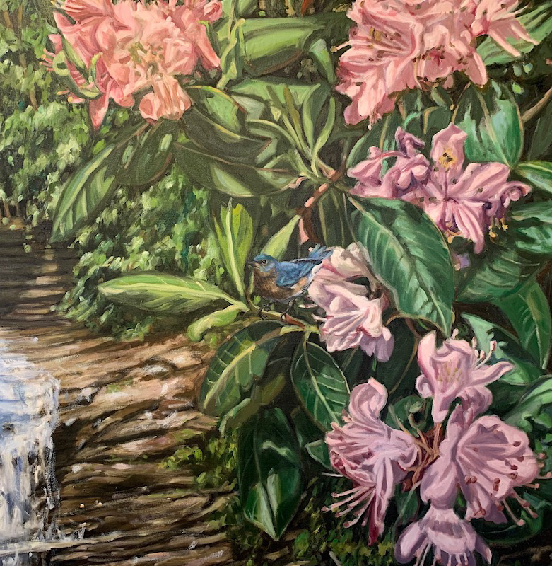 #9 Rhododendrons, Eastern Bluebird