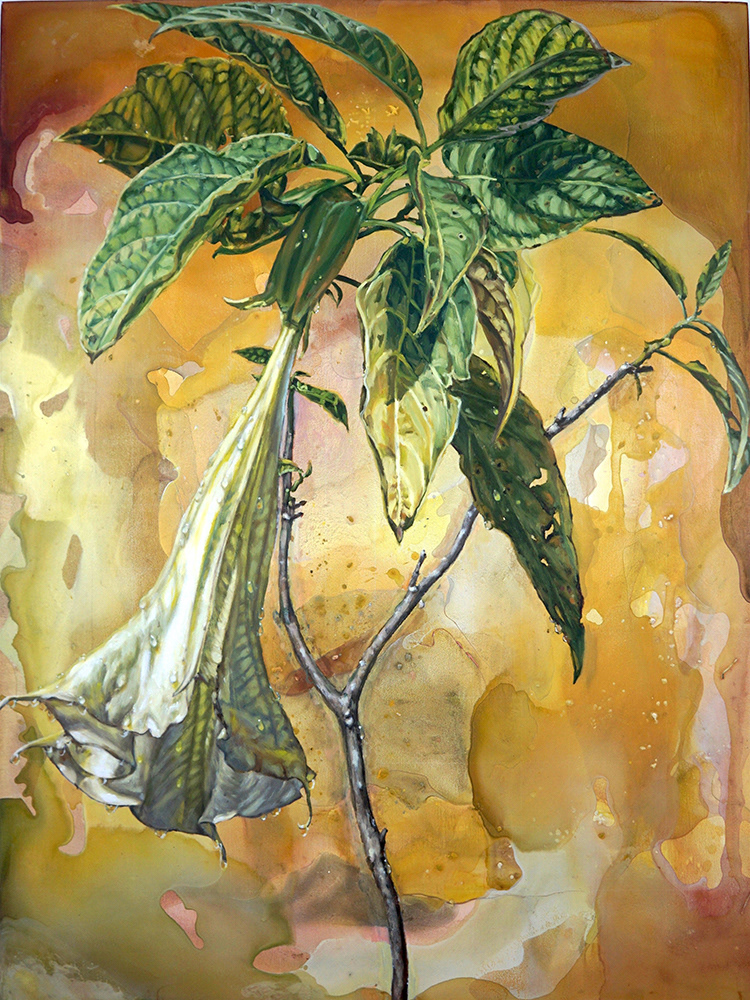 Fluted, 40x30, 2017 (Angel's Trumpet)