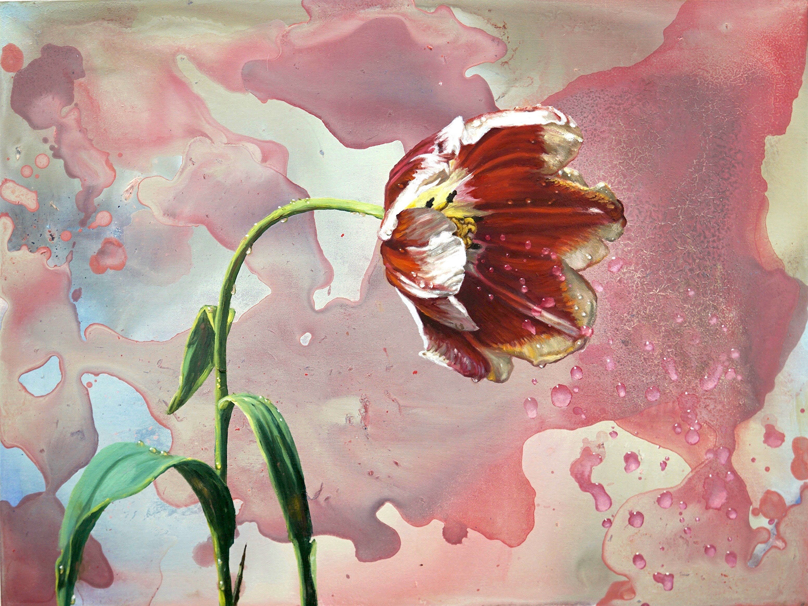 Bluster, 18×24, 2017 (Tulip)