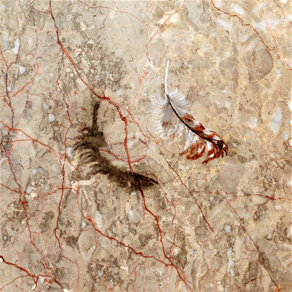 One Hawk, oil on marble, 12"x12", 2013