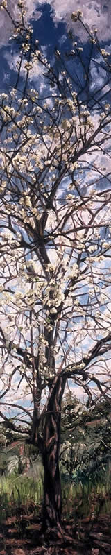 Puff, oil on canvas, 68in x 14in, 1999