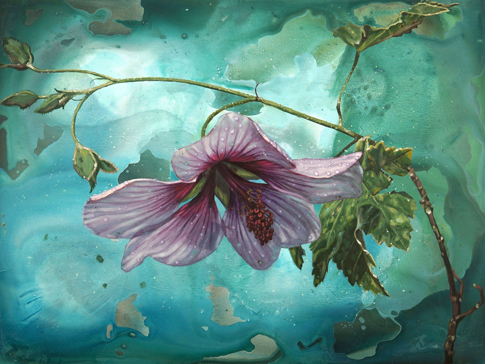 Whisper, 30x40, 2017 (Mallow)