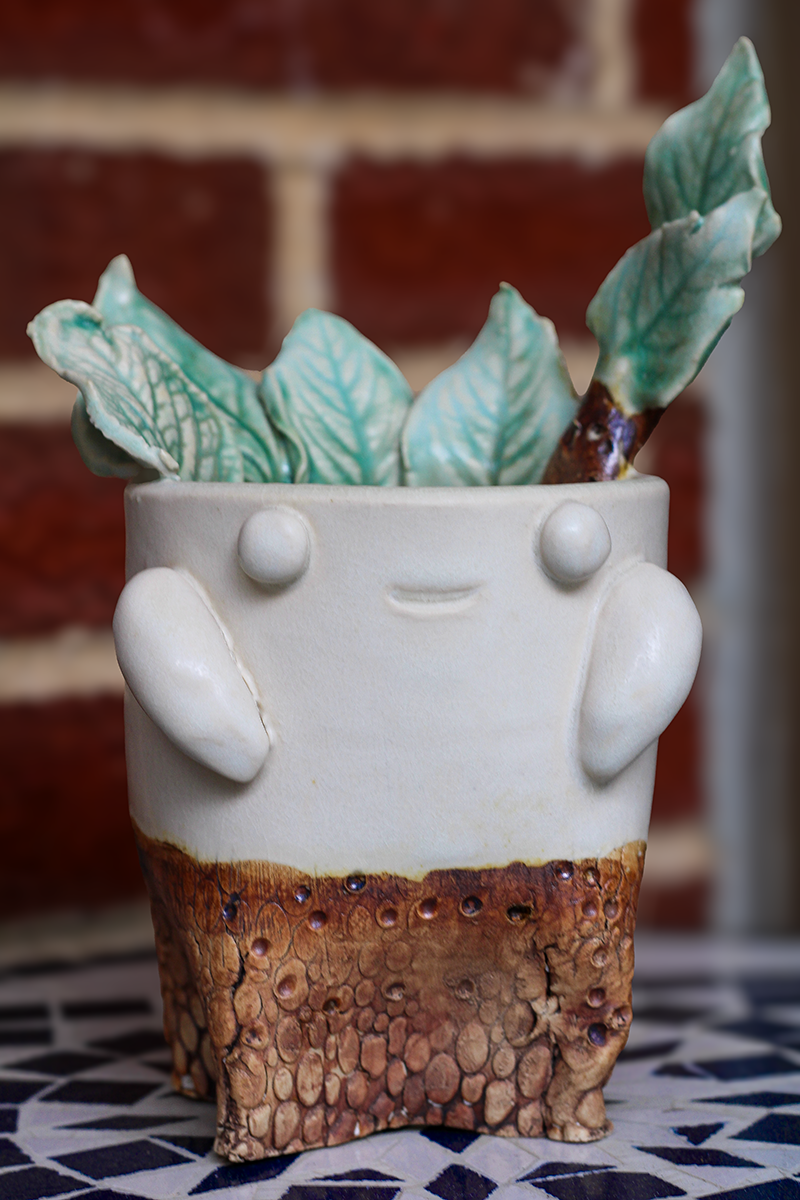 Planter Dude-Leafy Spring C