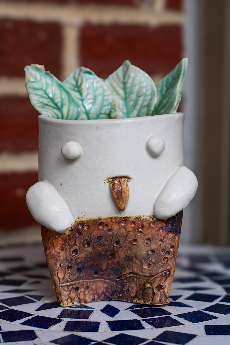 Planter Dude-Leafy Spring B