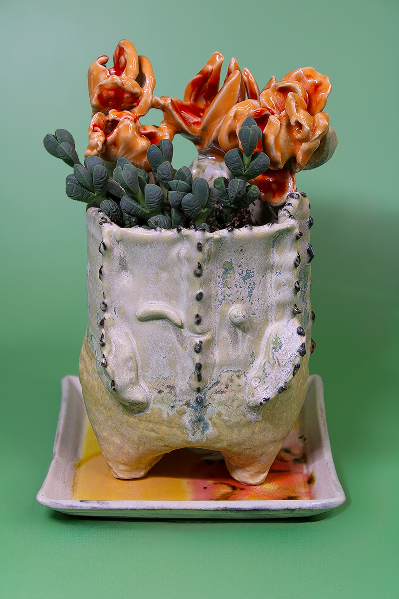 Planter Dude-Succulent White