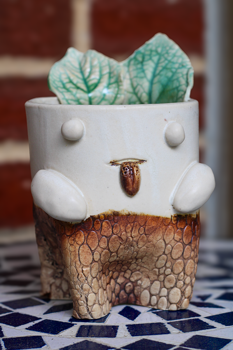 Planter Dude-Leafy Spring A