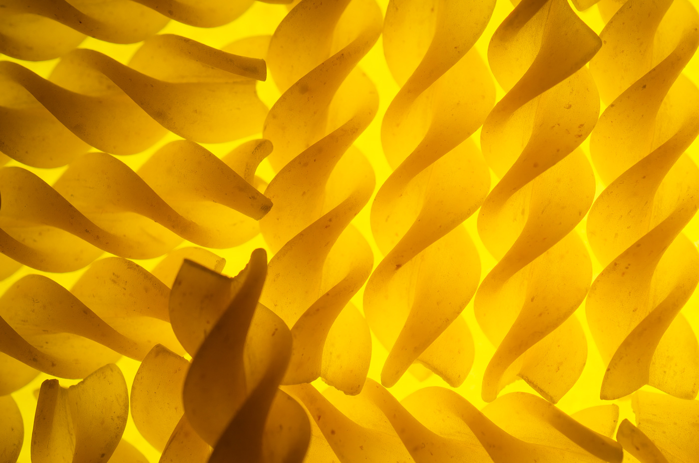 My Favourite Colour is Yellow