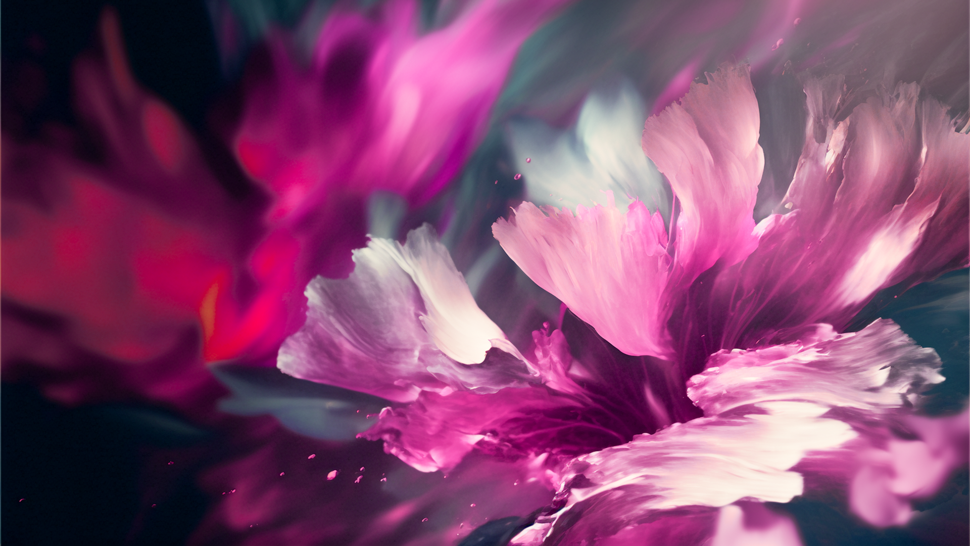Abstract image, Close-up of a flower with pink petals scattered, Abstract painting, oil painting, vignette, dark background