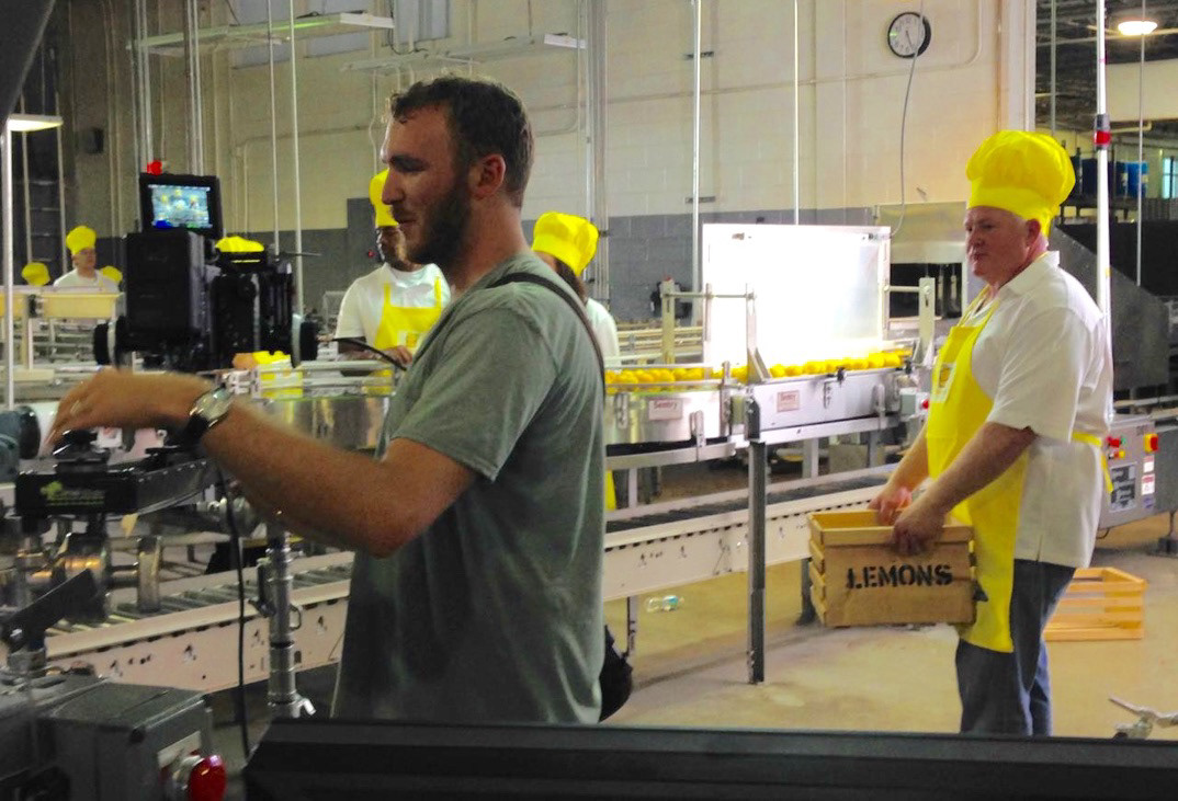 Decorated Lemon Factory for Commercial