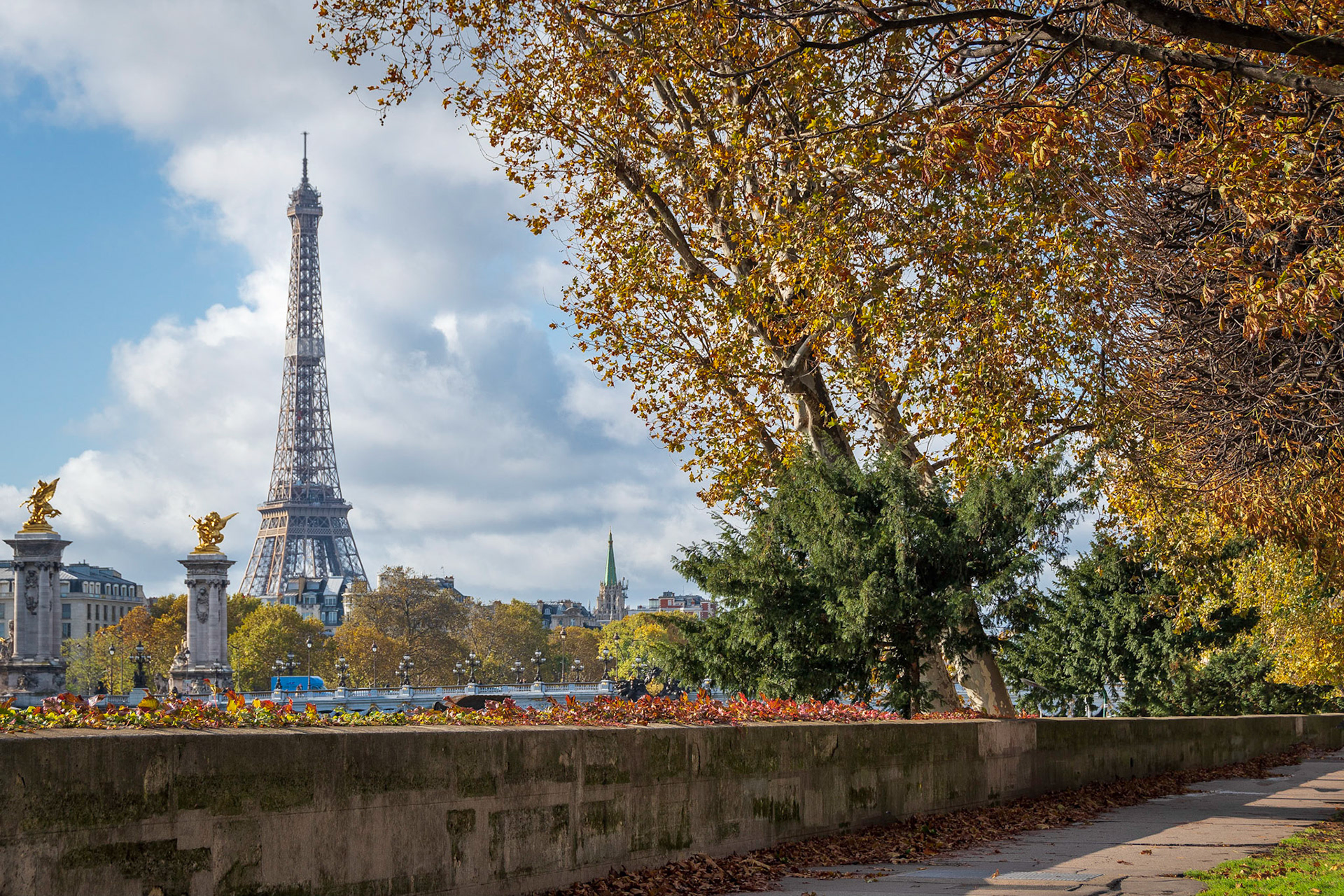 Eiffel Tower in Autumn