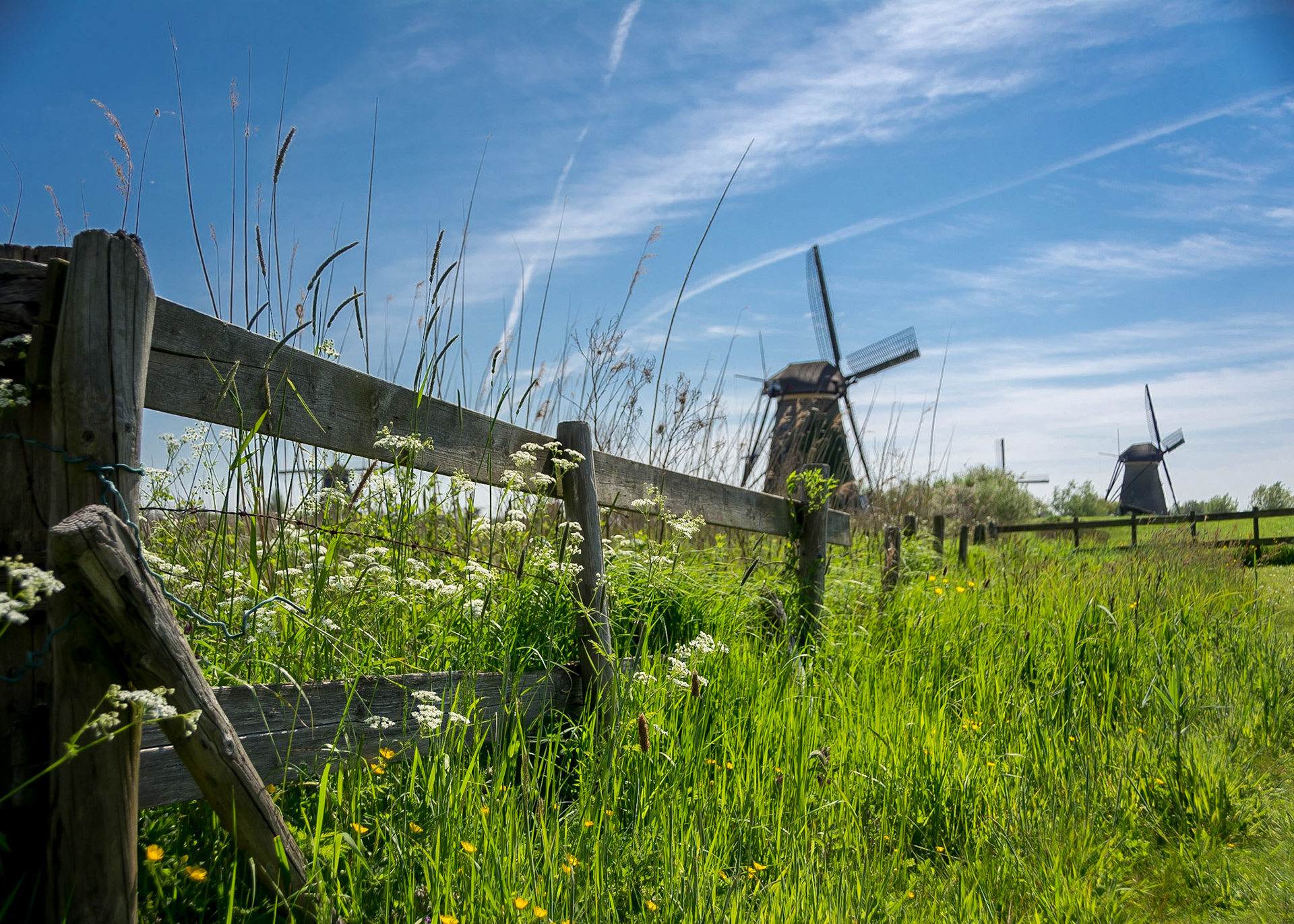 Kinderdijk