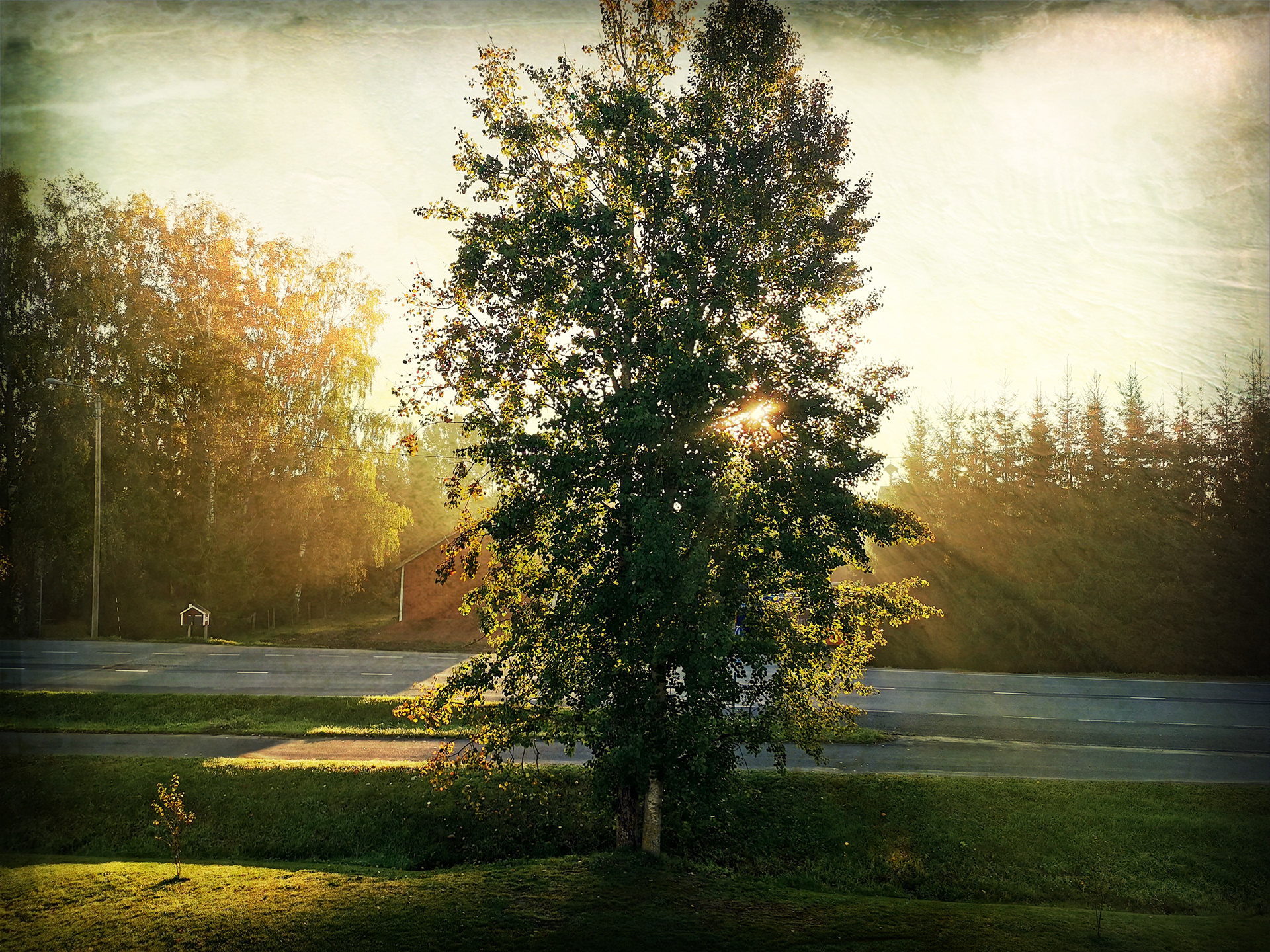 Ilmajoki Morning Mist