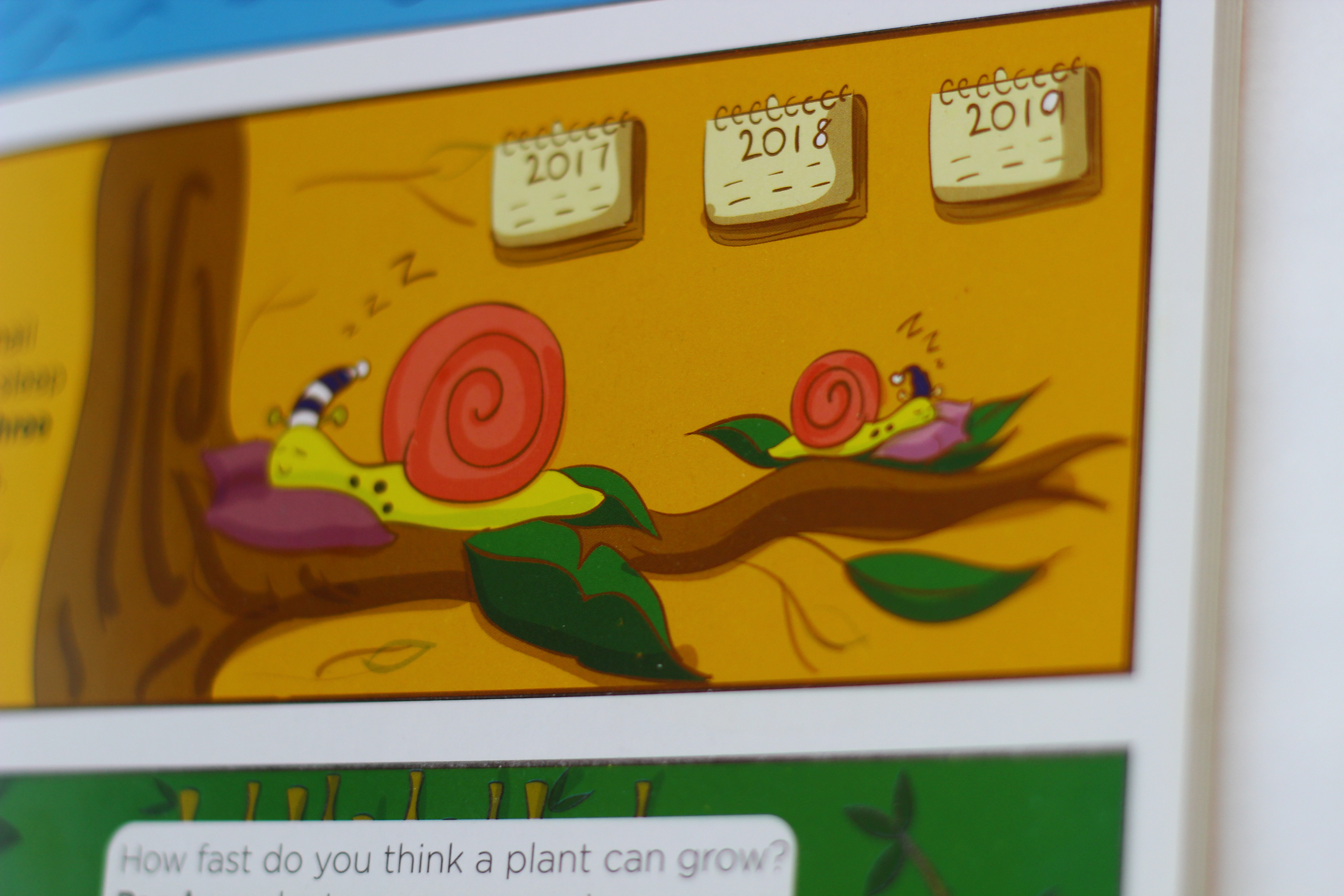 My Book of Facts, 100 amazing facts, pen to press: snail on a branch fact page