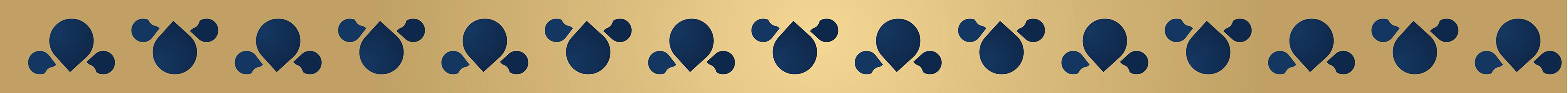 Mughai's Farm Origin Store rebranding: decorative gold and navy border strip