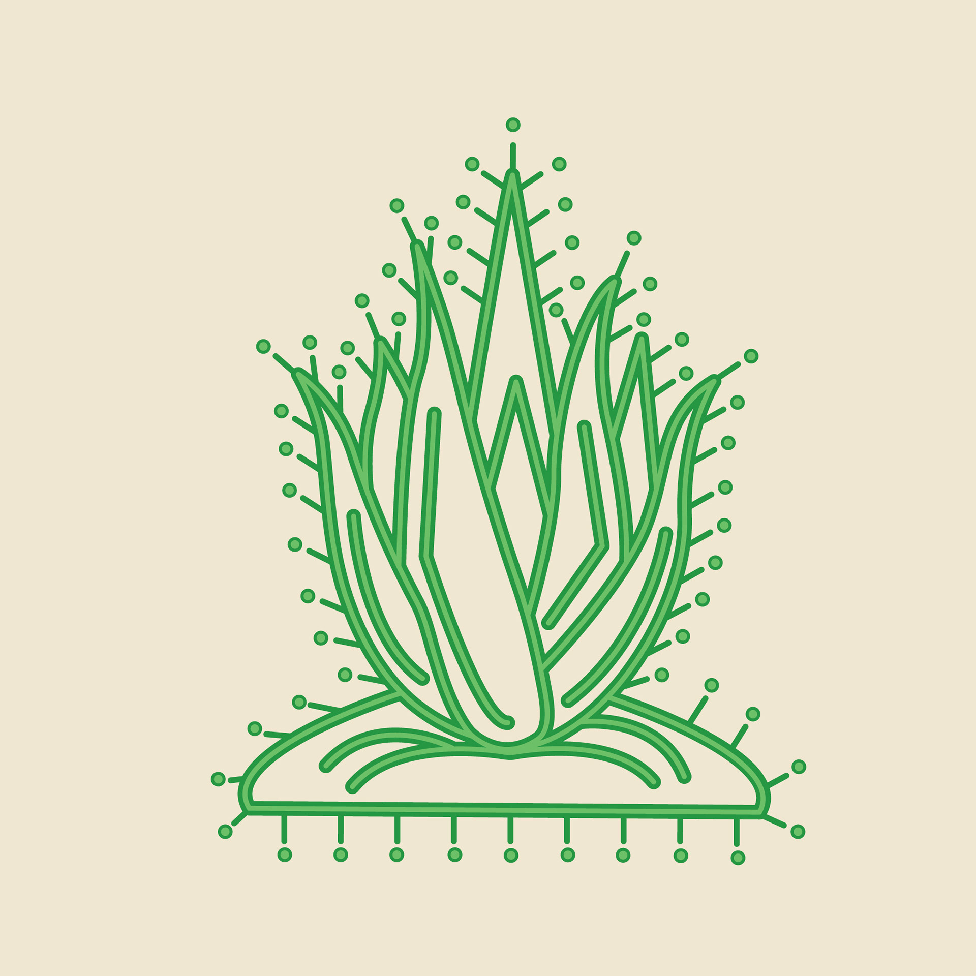 Mandana folk art inspired farm icon: aloe vera plant icon in green dotted line art