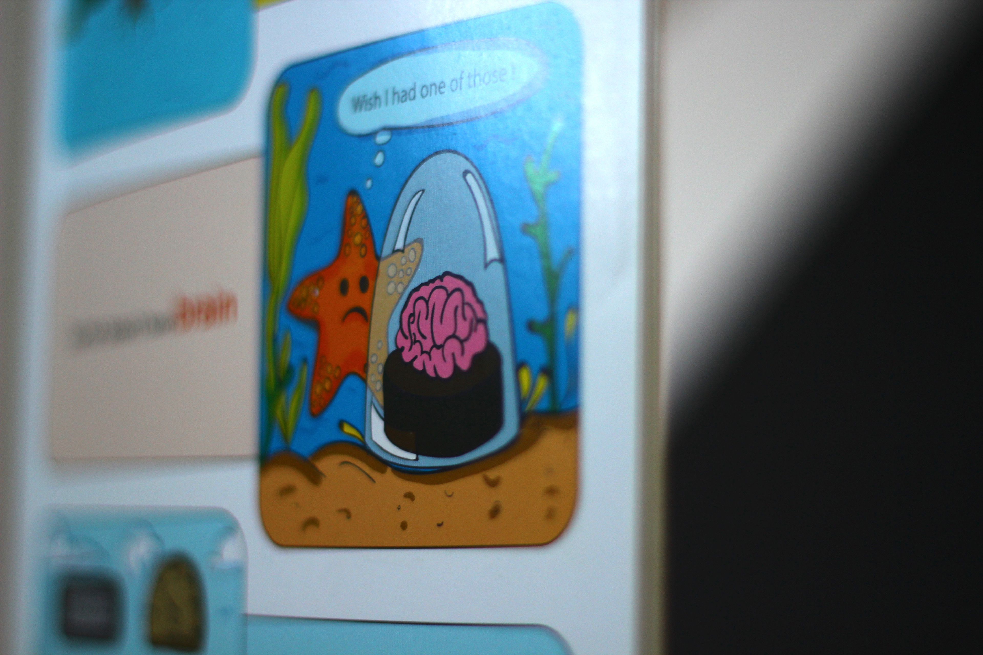 My Book of Facts, 100 amazing facts, pen to press: shark fact page