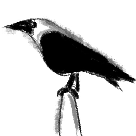 30 various illustrations of 2017: #26 Ink crow on a branch