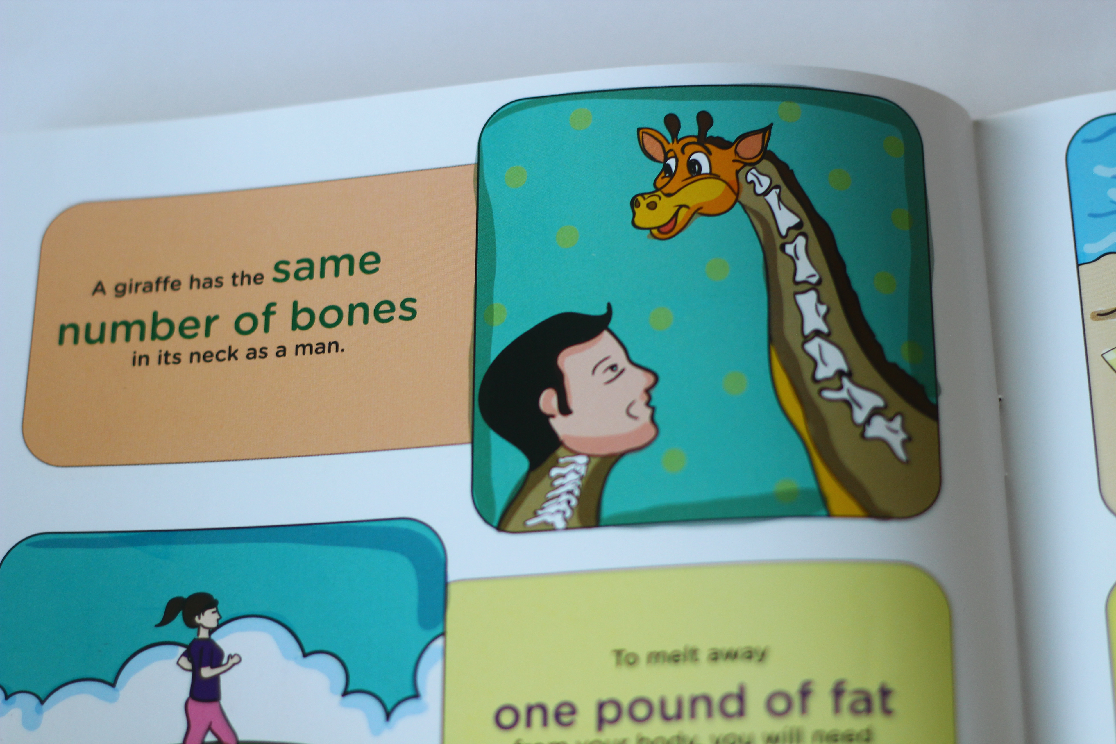 My Book of Facts, 100 amazing facts, pen to press: giraffe and human bones fact page