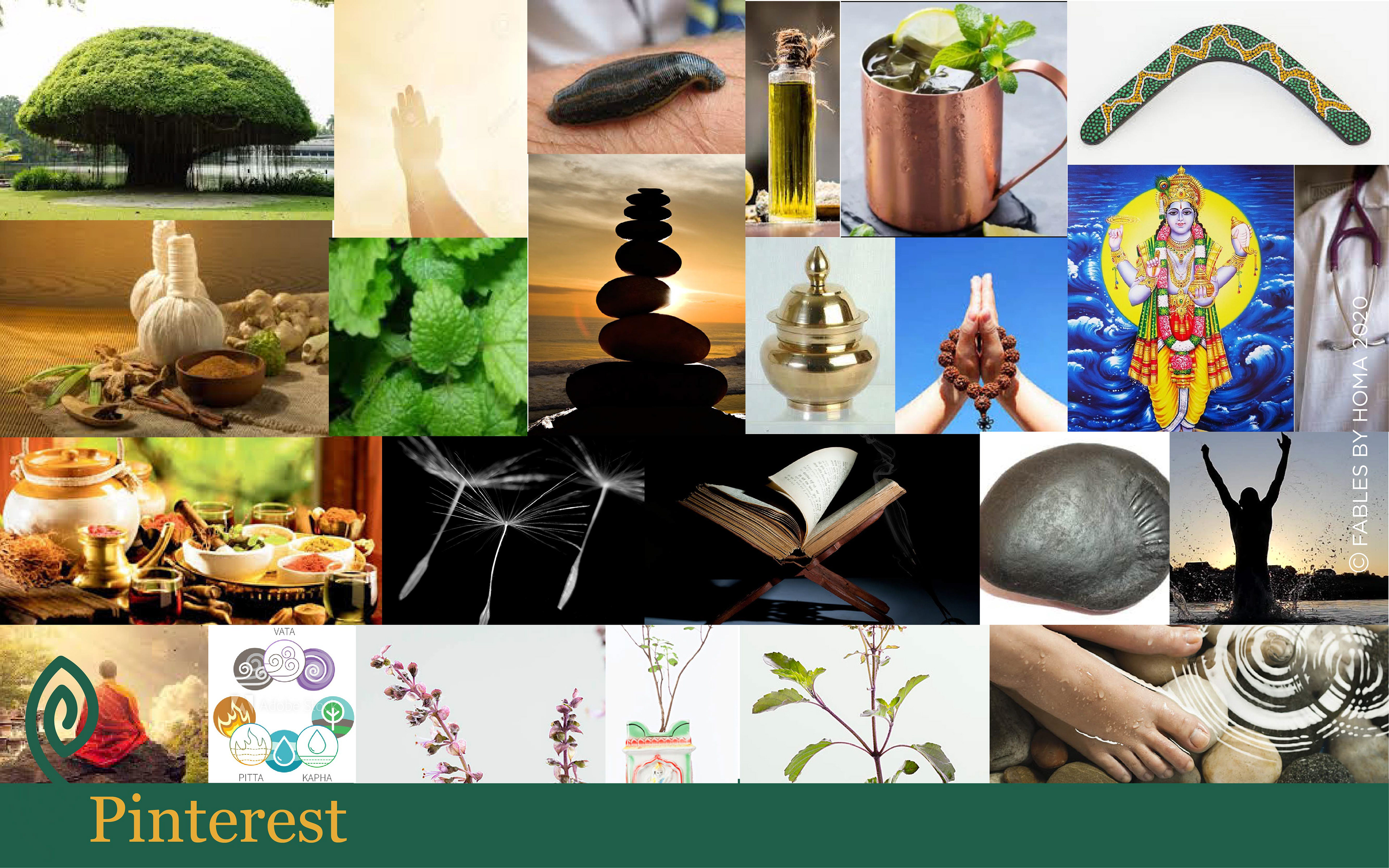 Dhanvantari Temple brand: Pinterest moodboard of temples, herbs and Ayurveda