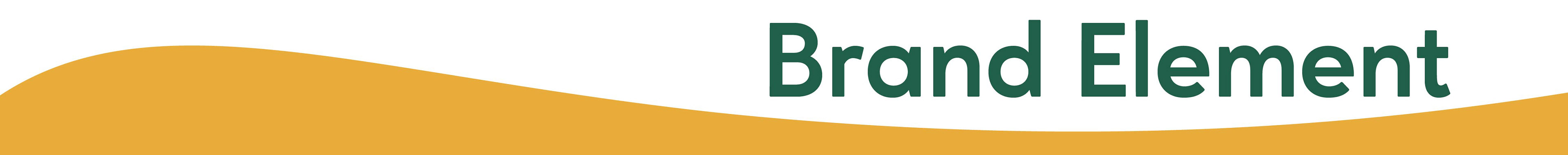 Dhanvantari Temple brand: brand element title strip