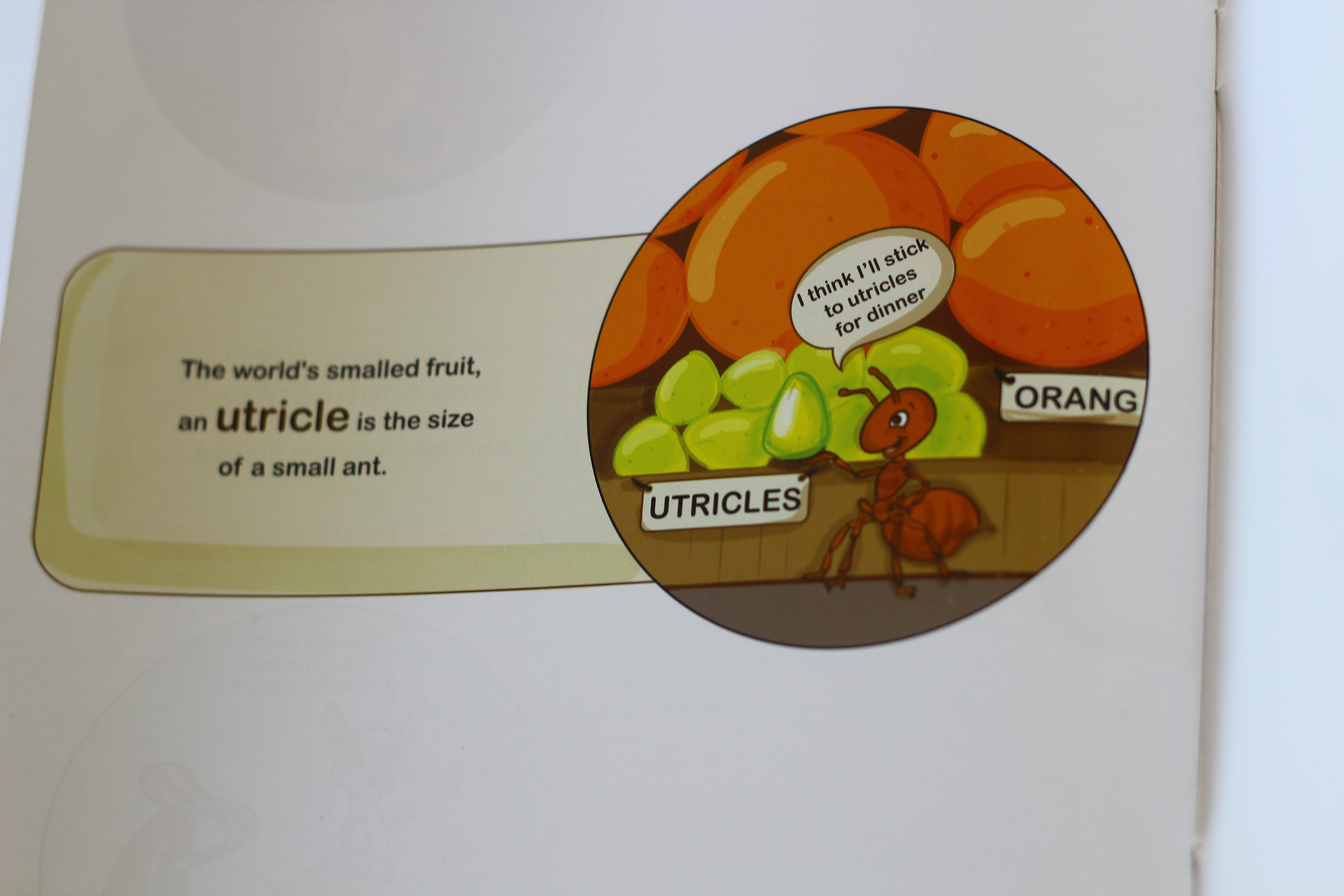 My Book of Facts, 100 amazing facts, pen to press: oranges fact page