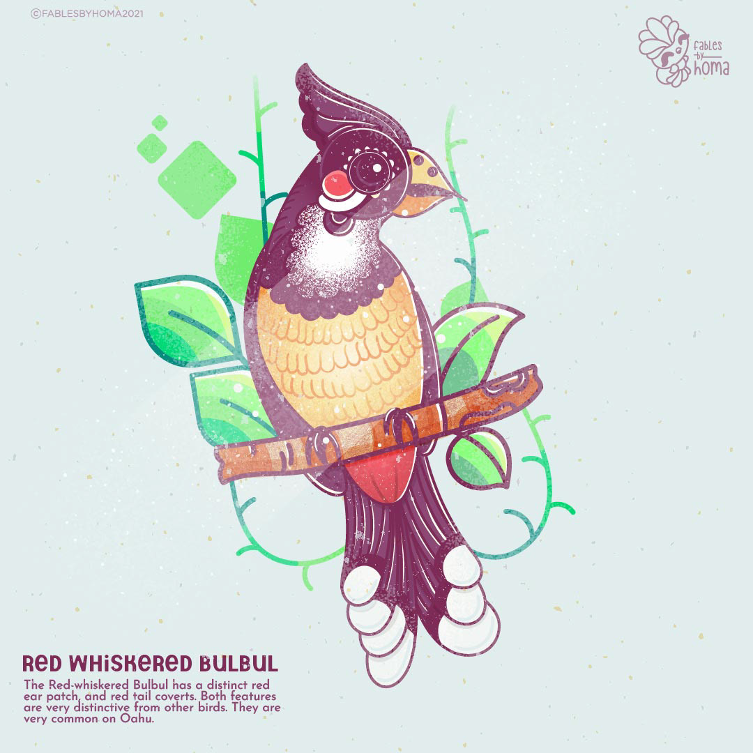 Neighbourhood birds in Epiphany Madhubani style: #1 Red-whiskered bulbul, Madhubani style illustration by Atma Studios