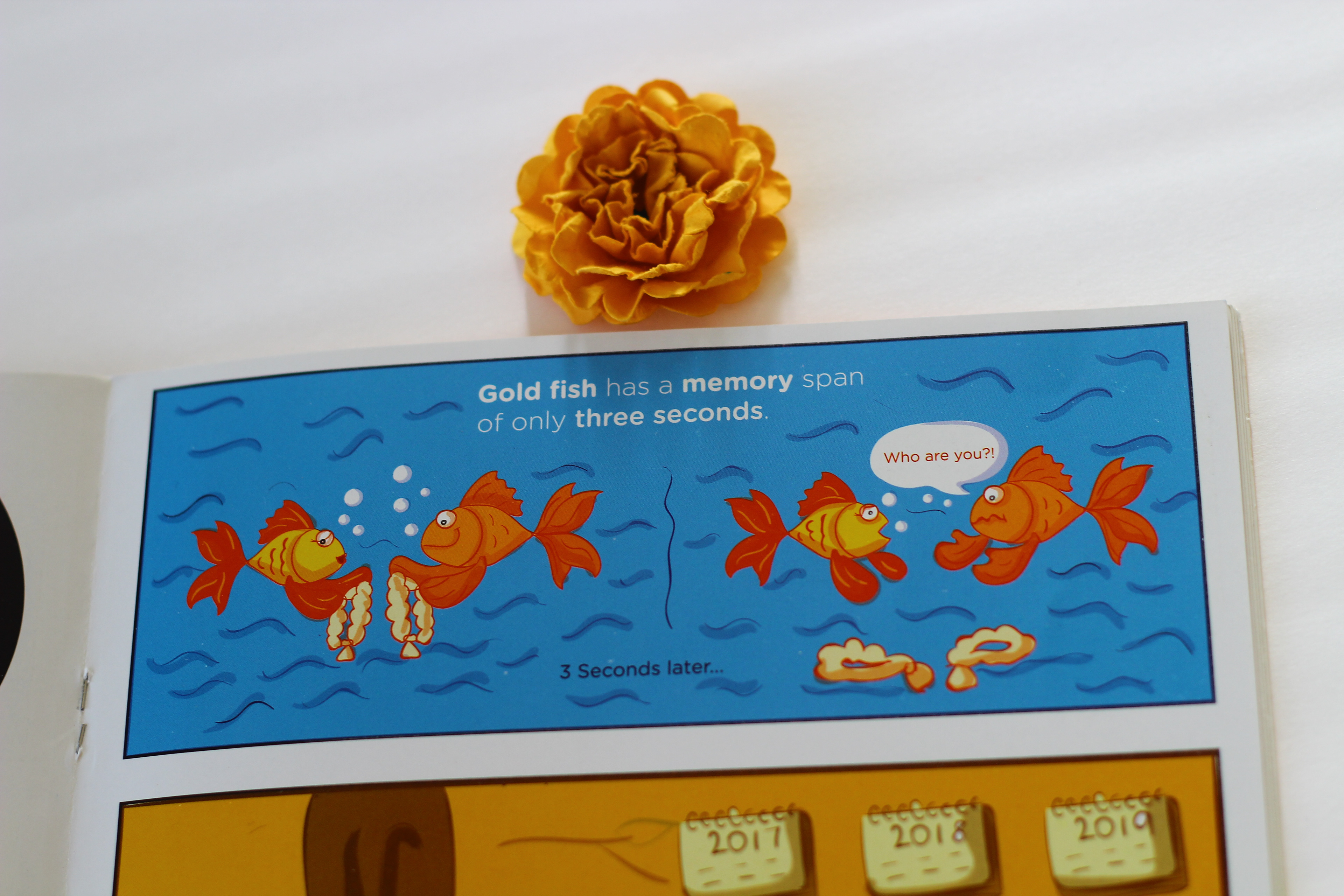 My Book of Facts, 100 amazing facts, pen to press: printed fish fact page with a marigold