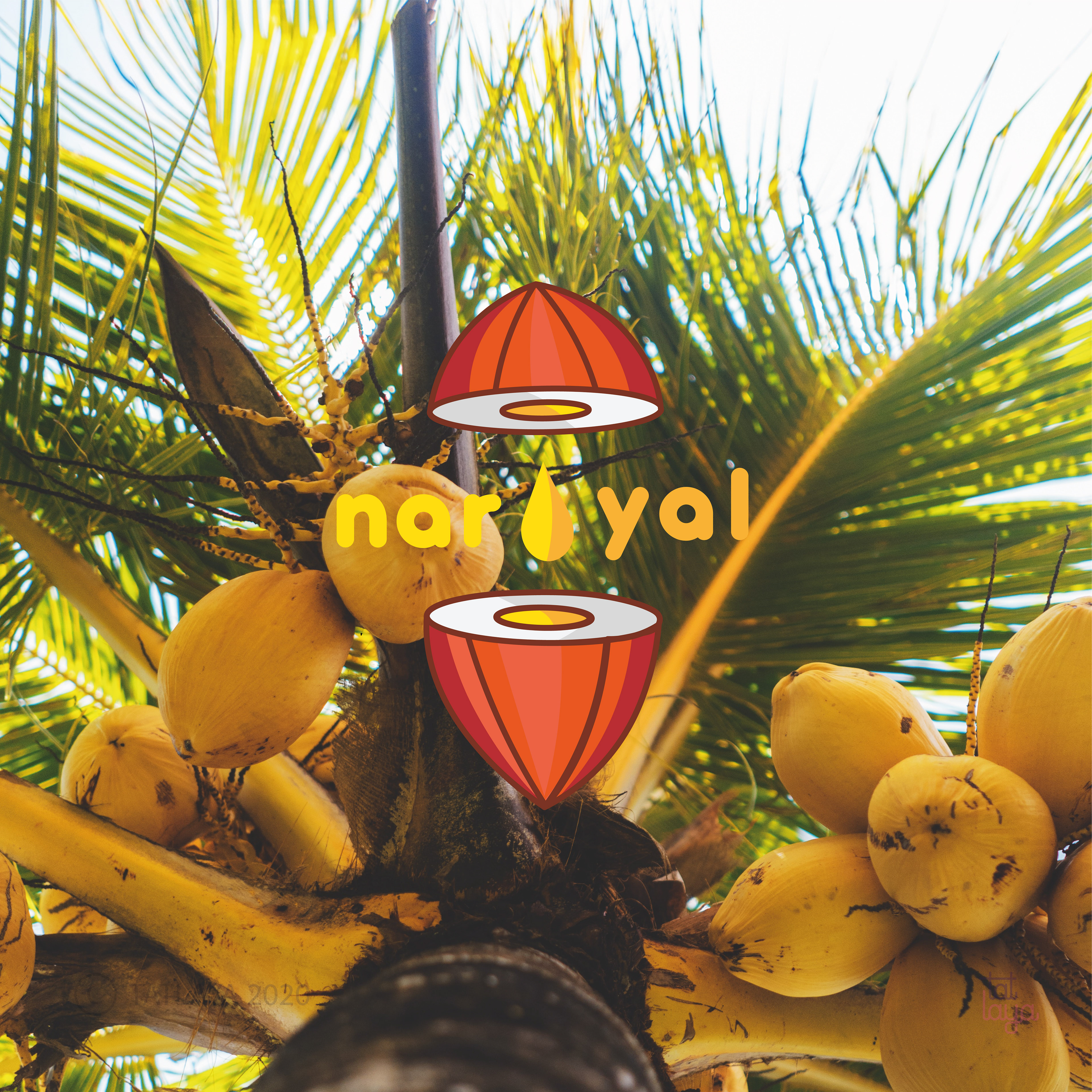 Top logo designs 2020 by Atma Studios: Nariyal coconut logo on a coconut tree