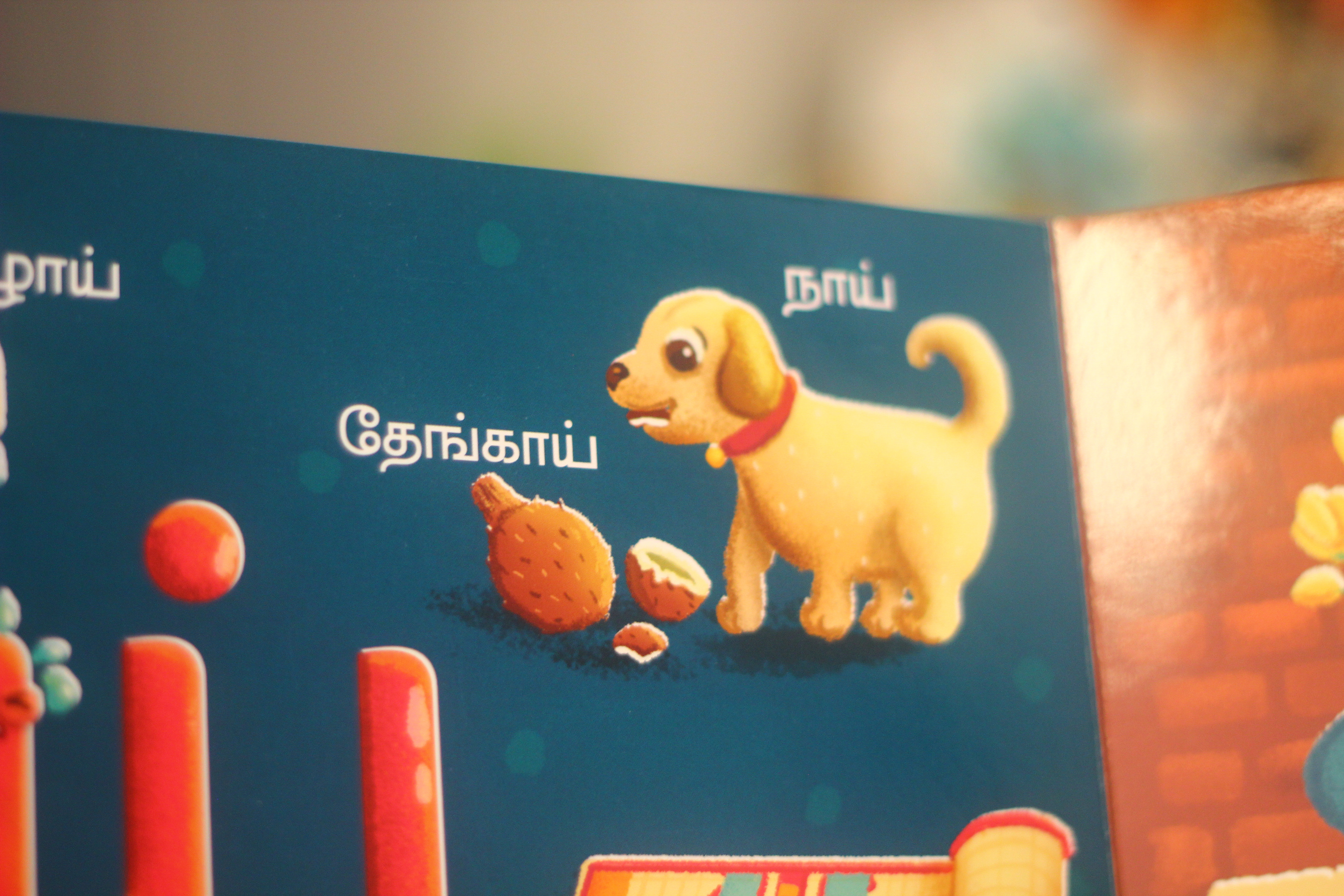 Vidhaippom Meithamizhai Tamil alphabet board book: page with a dog