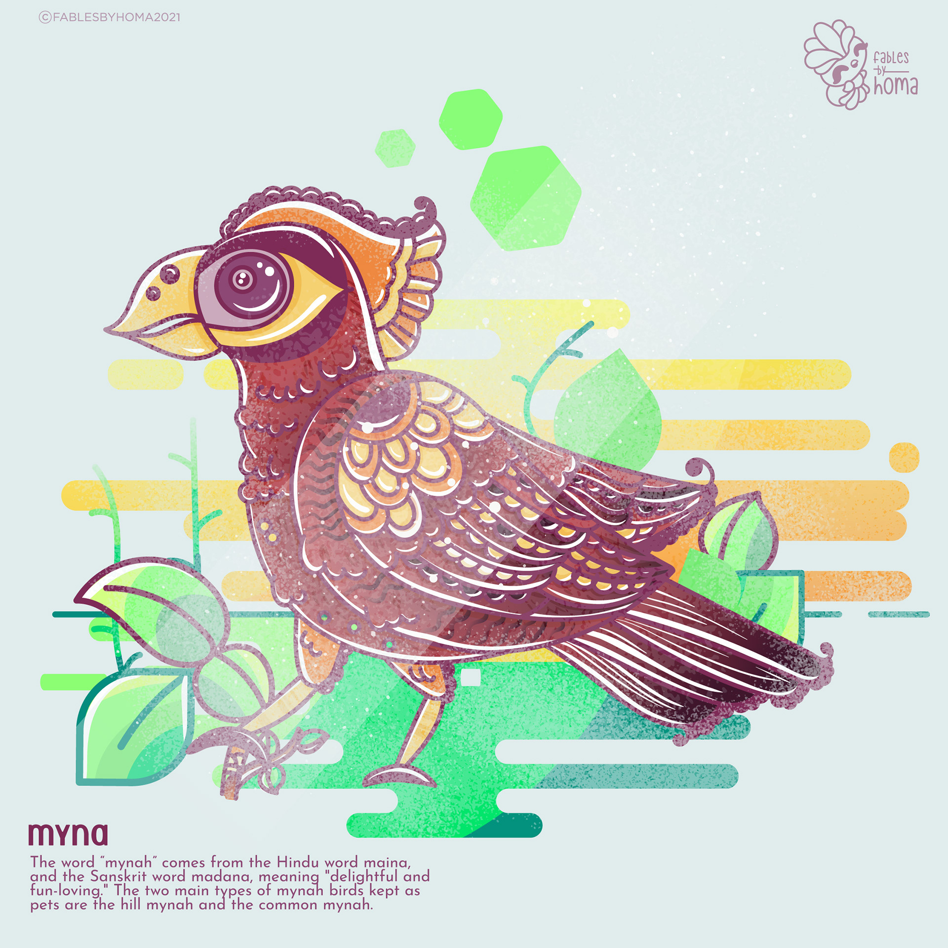 Neighbourhood birds in Epiphany Madhubani style: #10 Myna
