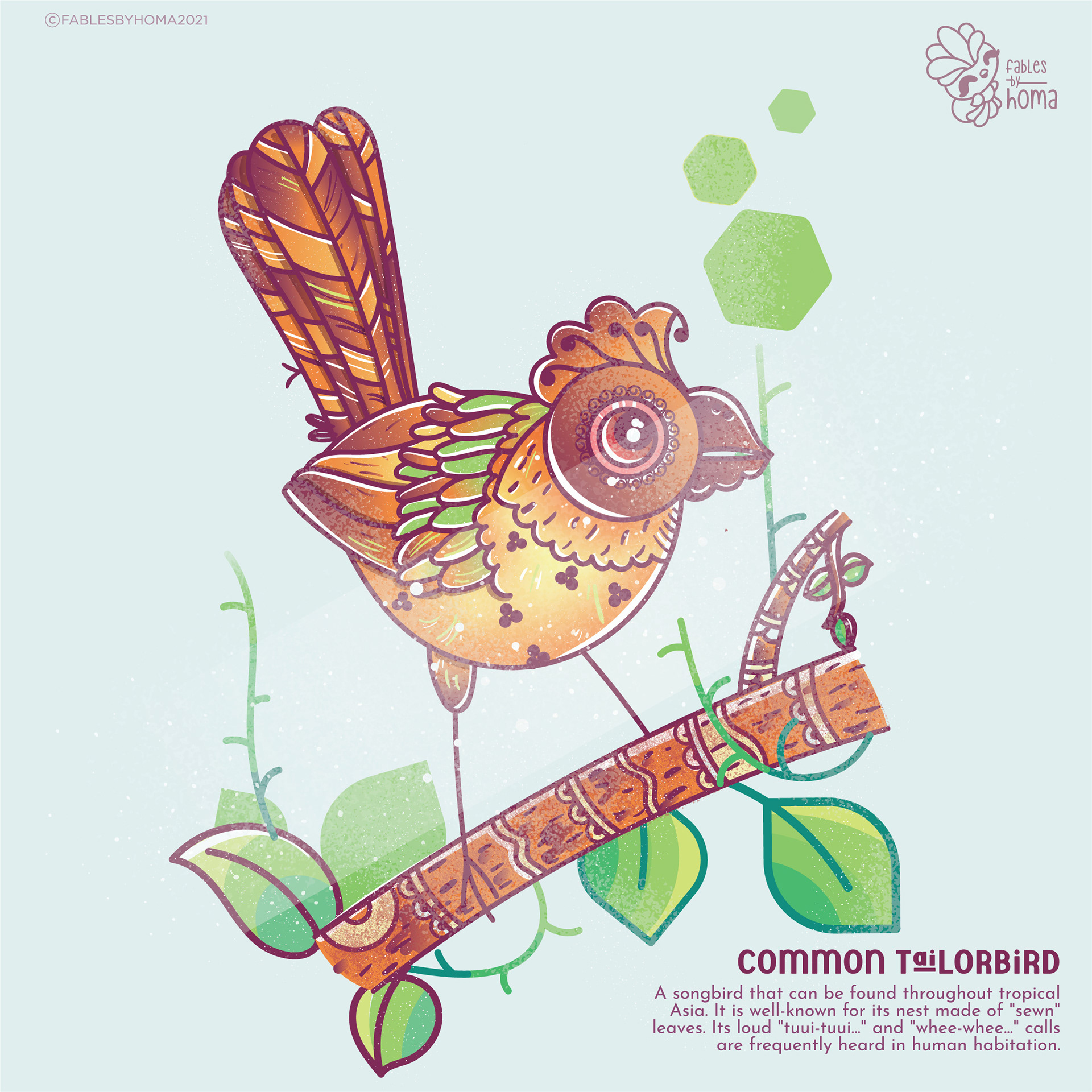 Neighbourhood birds in Epiphany Madhubani style: #5 Common tailorbird