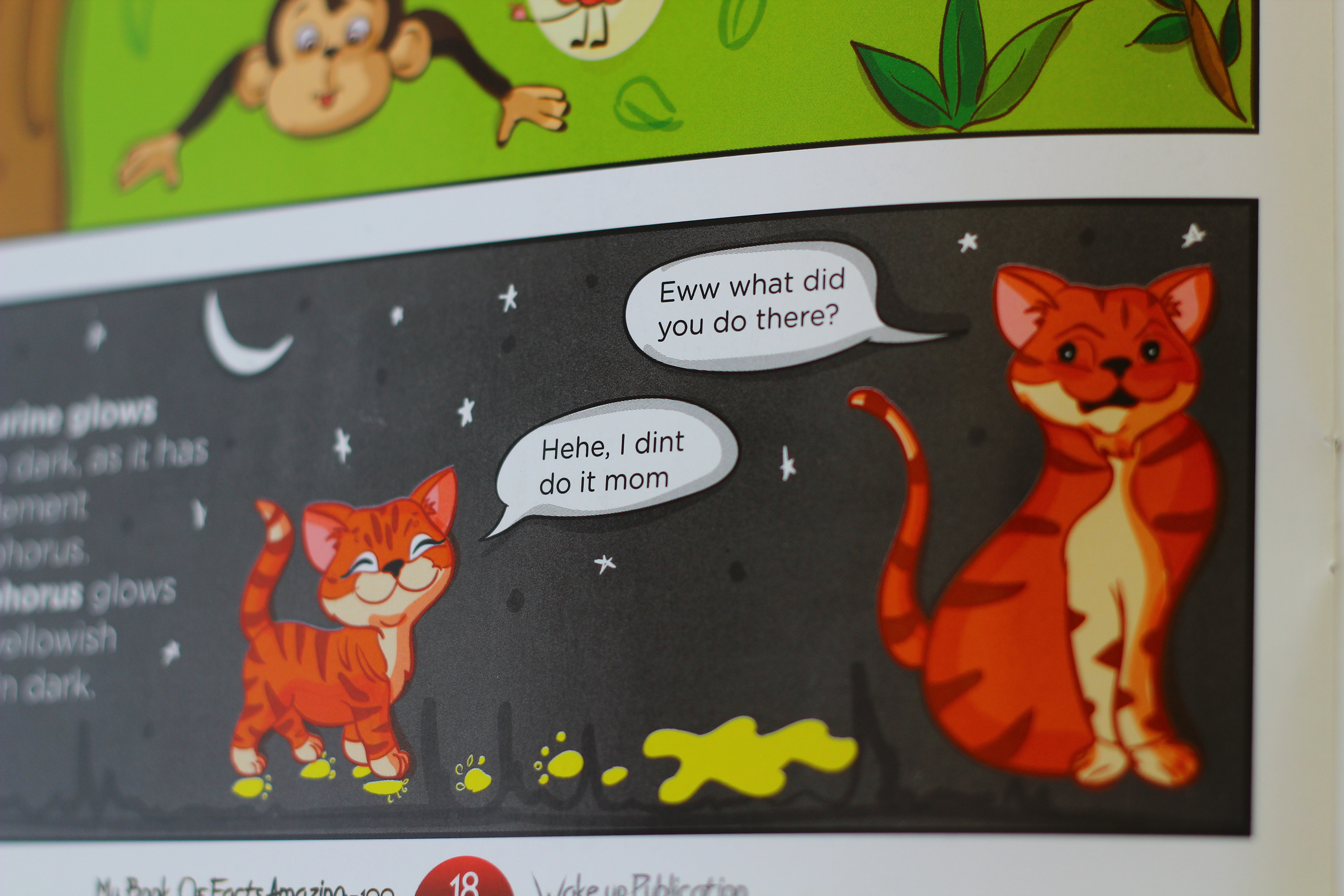 My Book of Facts, 100 amazing facts, pen to press: cats in the night fact page