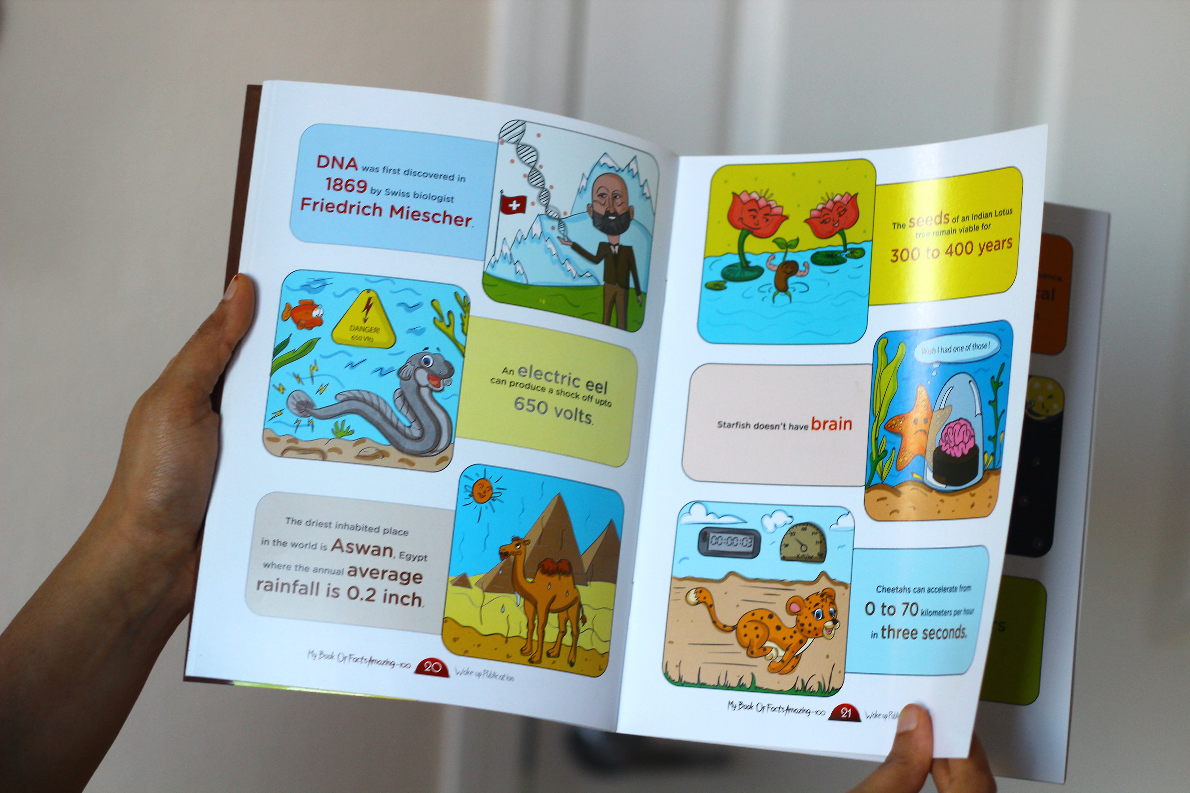 My Book of Facts, 100 amazing facts, pen to press: reader holding an open spread