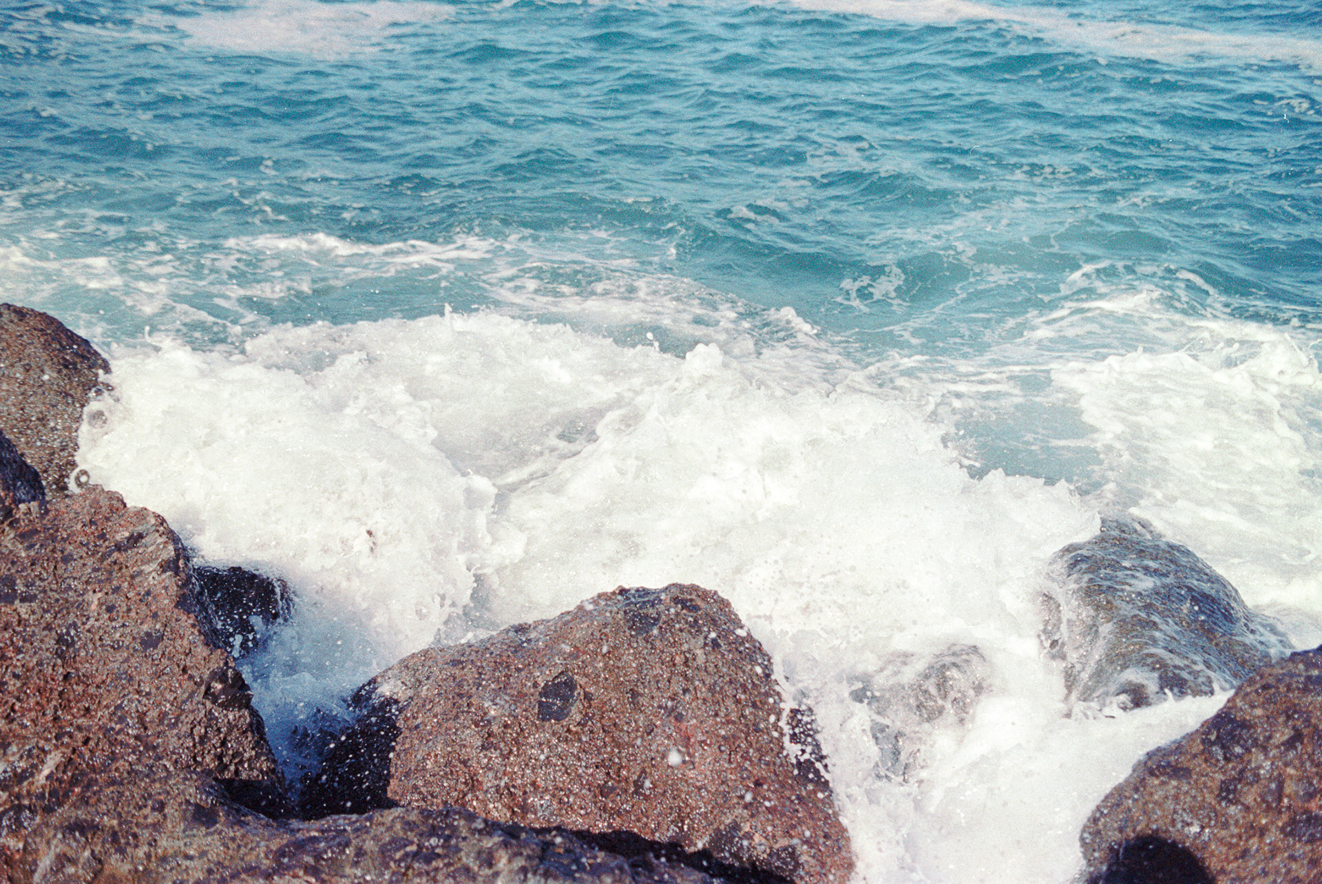 Oregon Coastline, 35mm Film, 2023