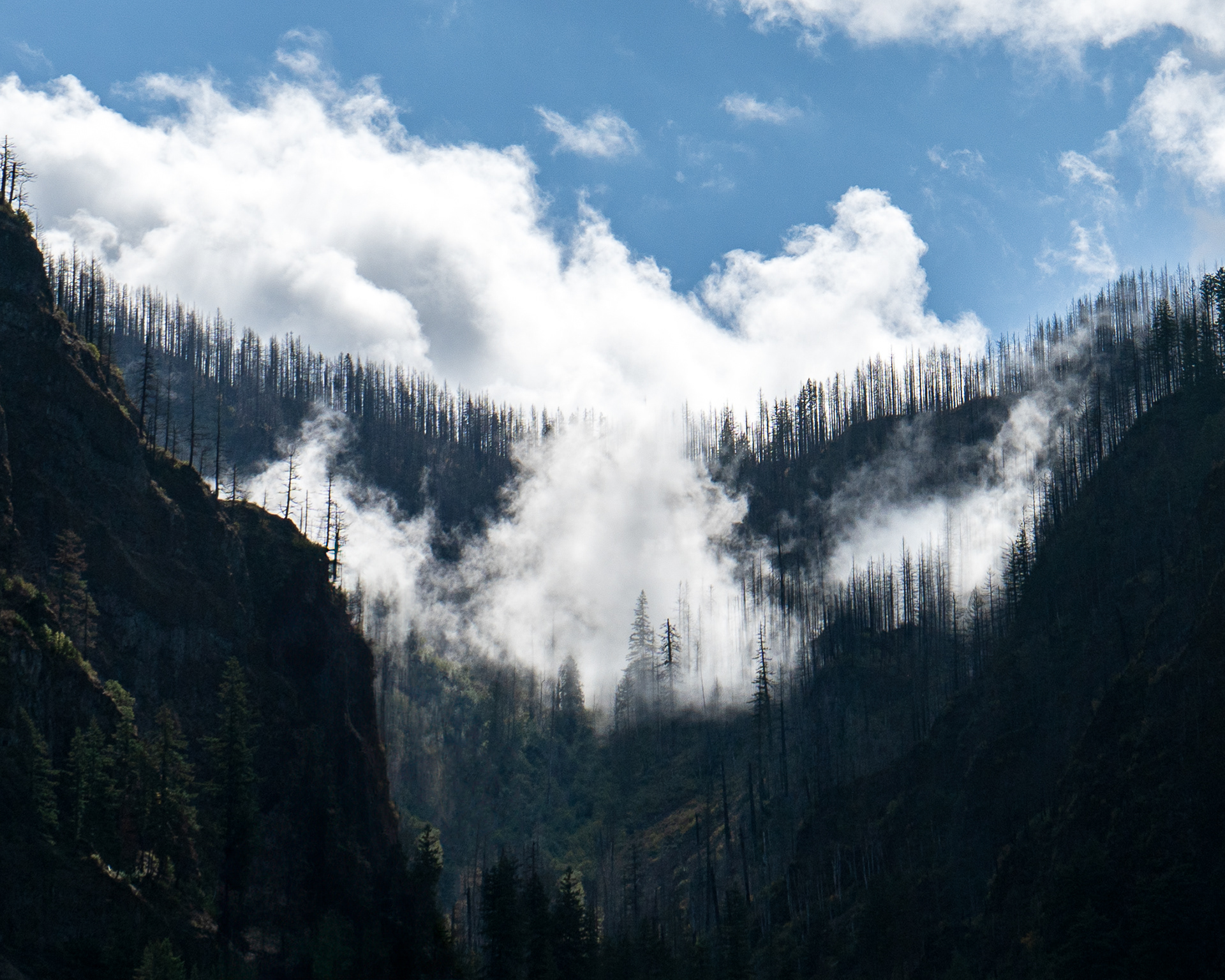 Columbia River Gorge, Oregon