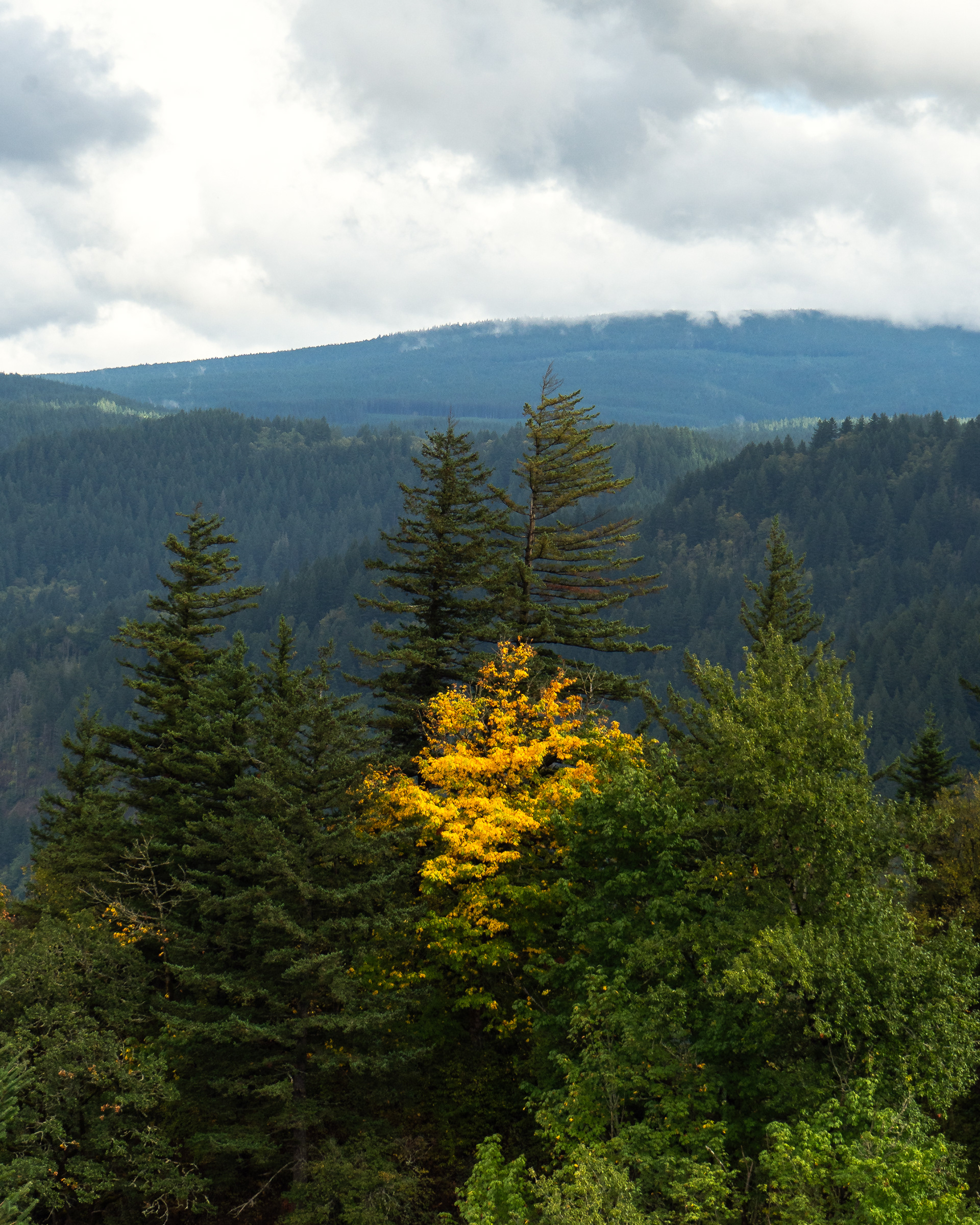 Columbia River Gorge, Oregon