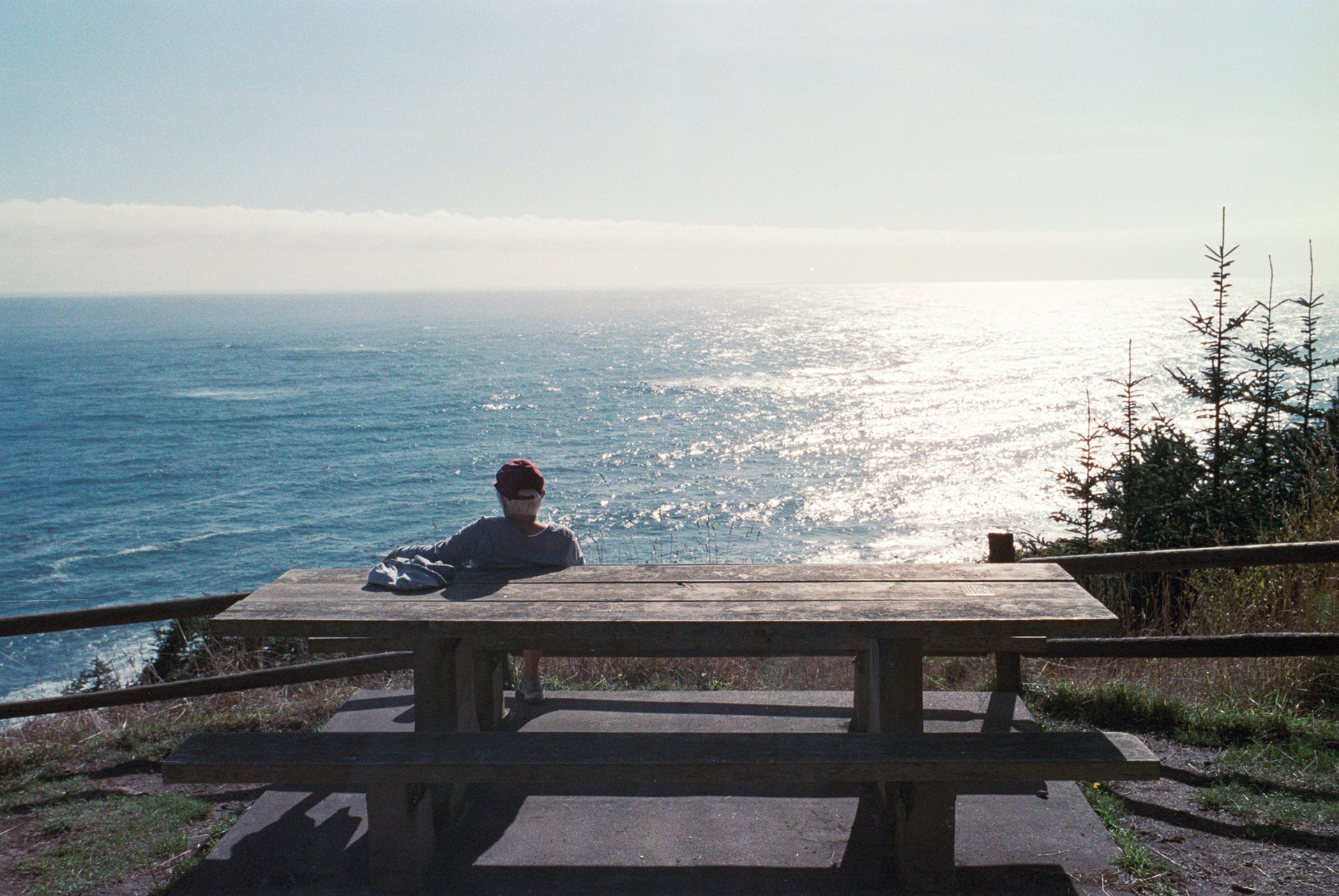 Oregon Coastline, 35mm Film, 2023