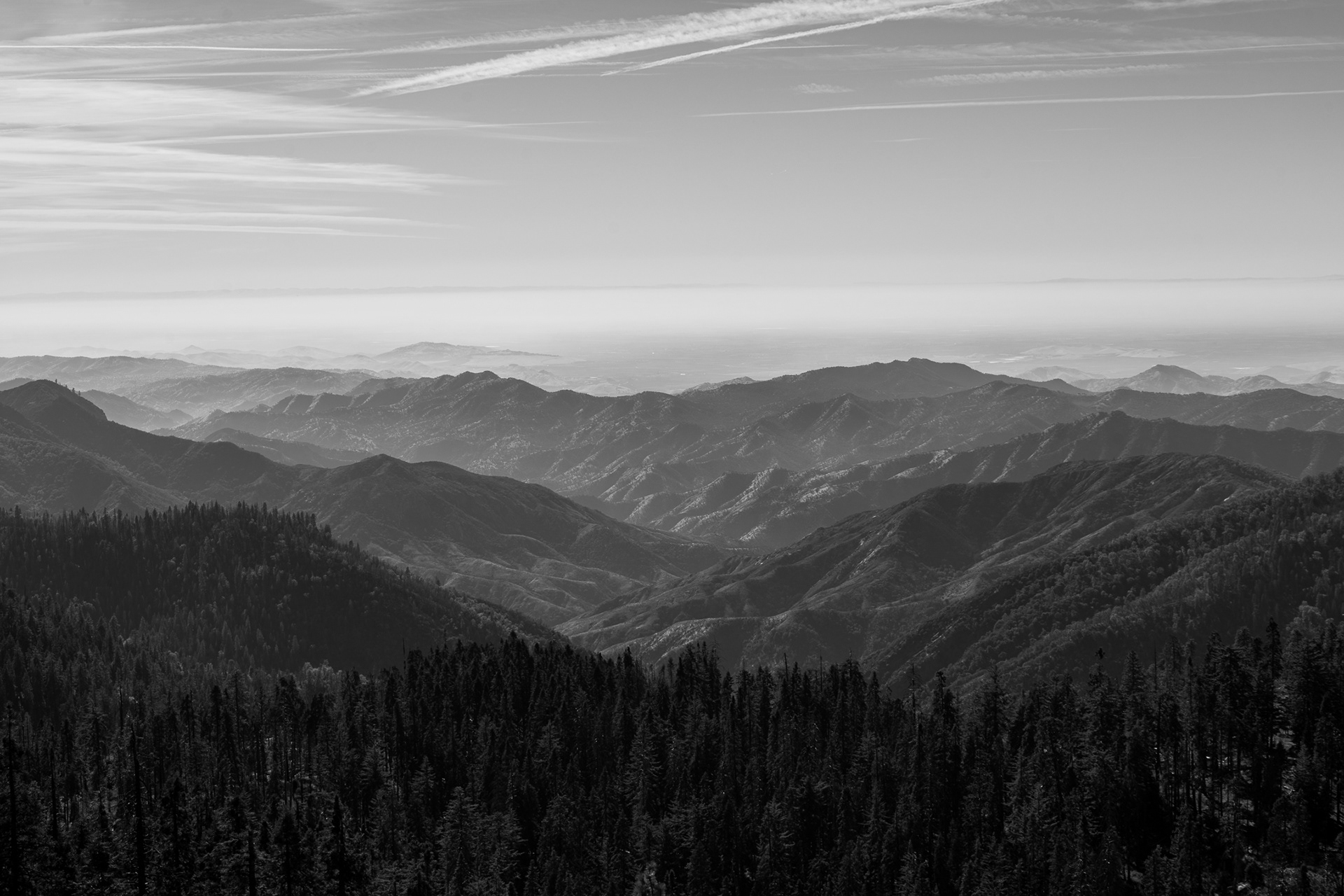 Sierra Foothills, CA. 2023