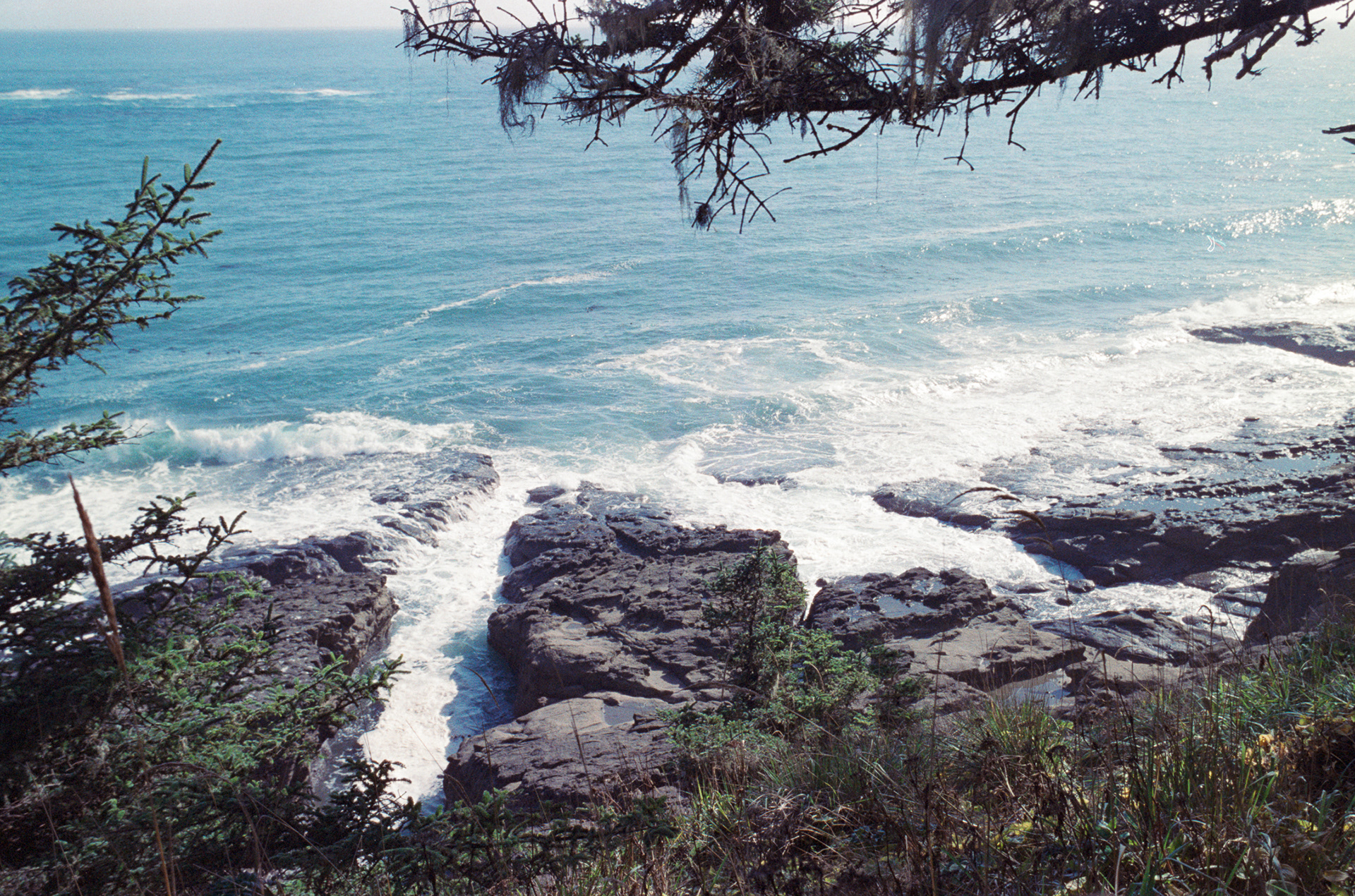 Oregon Coastline, 35mm Film, 2023