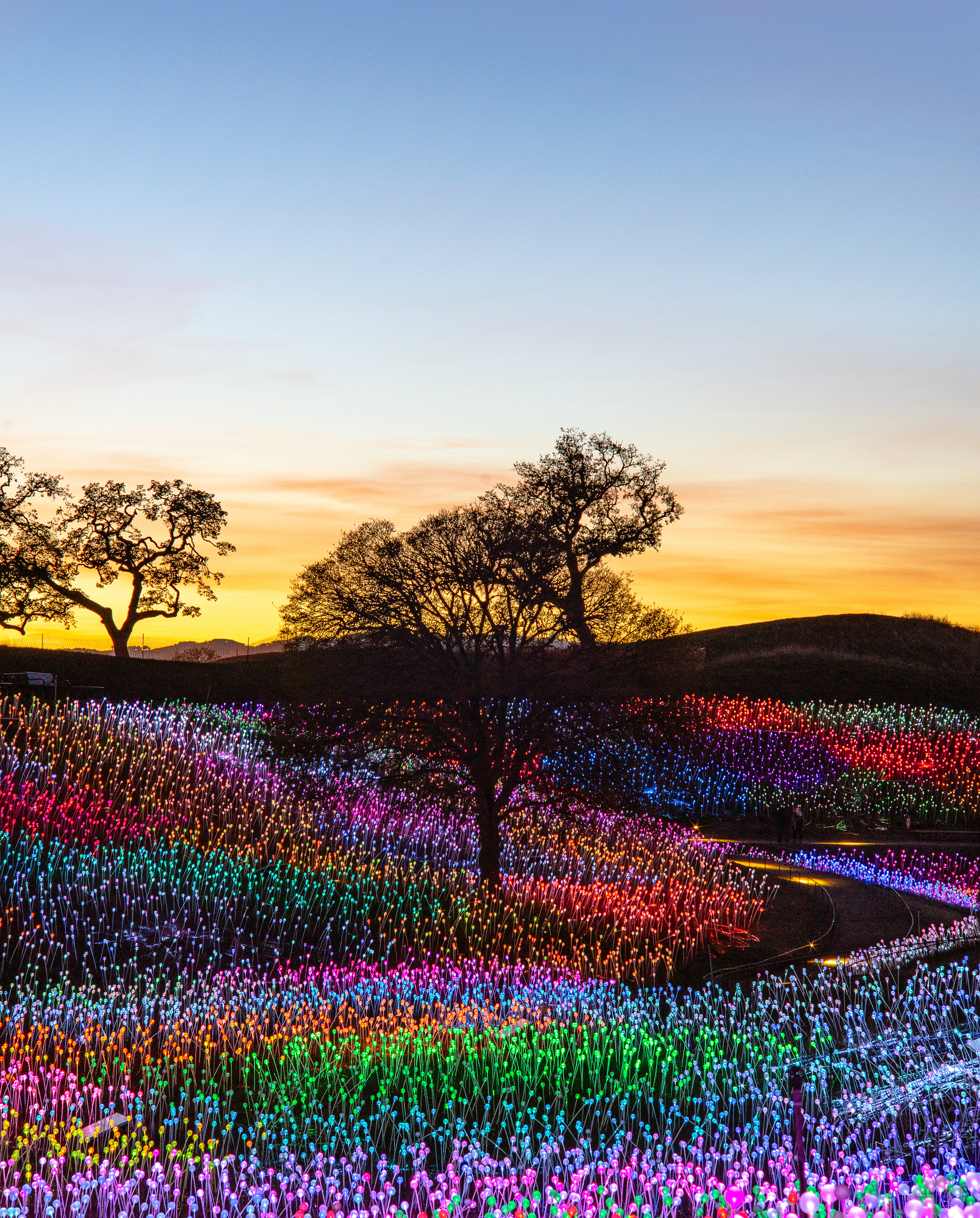 Sensorio - Paso Robles, CA 2023