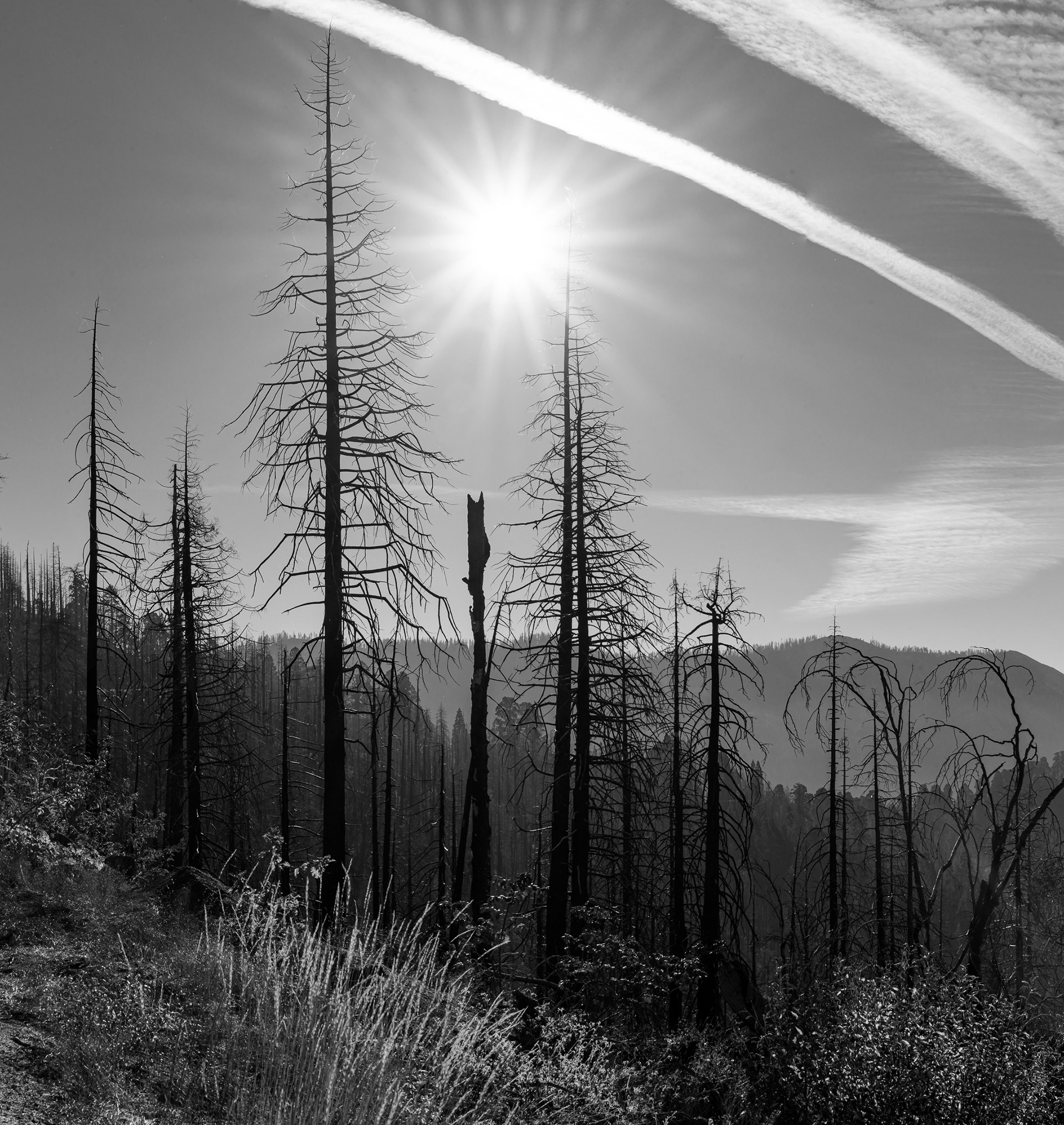 Sequoia National Forest 2023