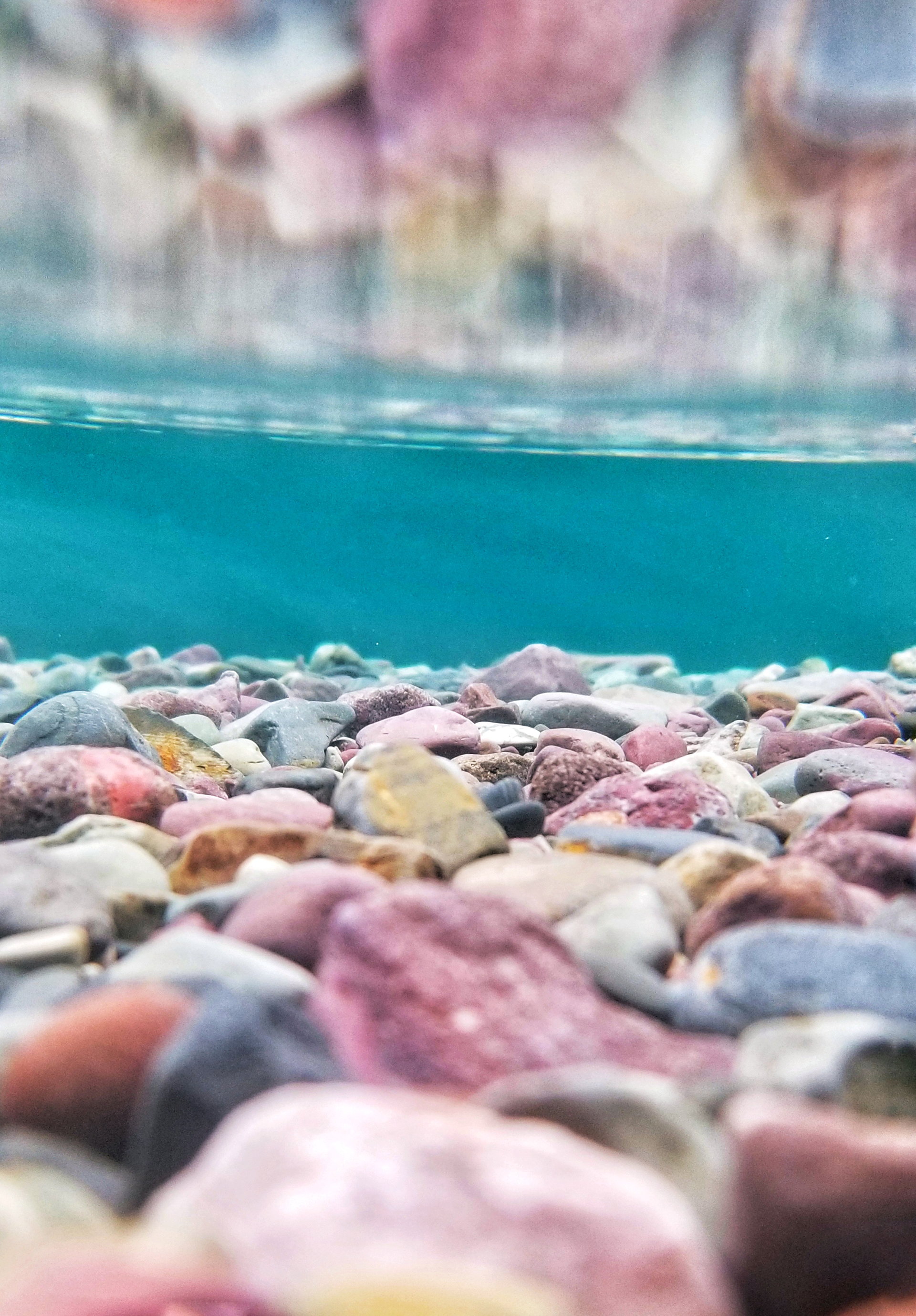 Underwater Lake Mcdonald, Montana 2019