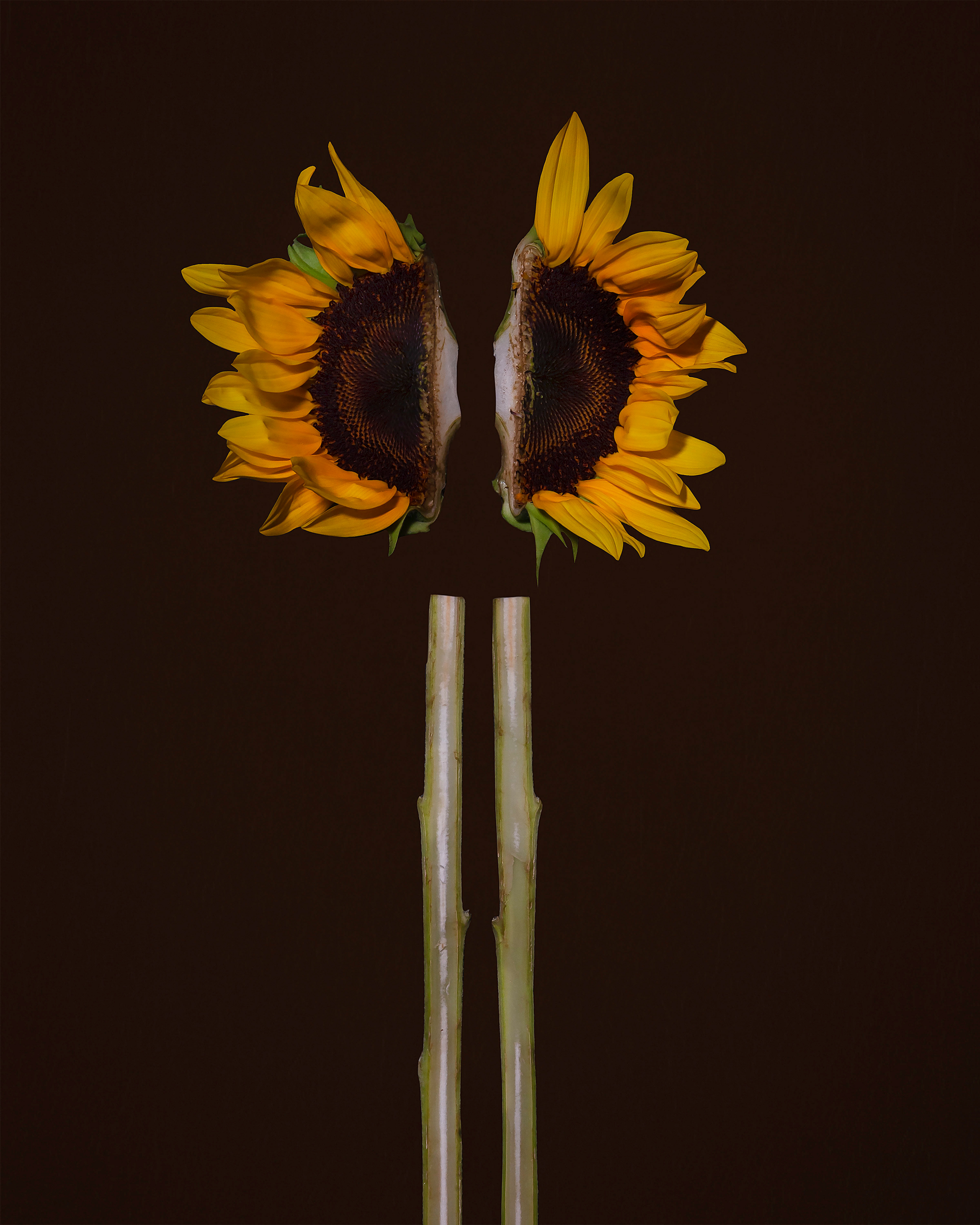 Borderline Personality Disorder