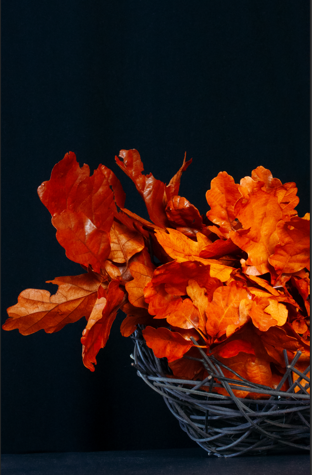 Fiery Display of Autumn - Digital Photograph