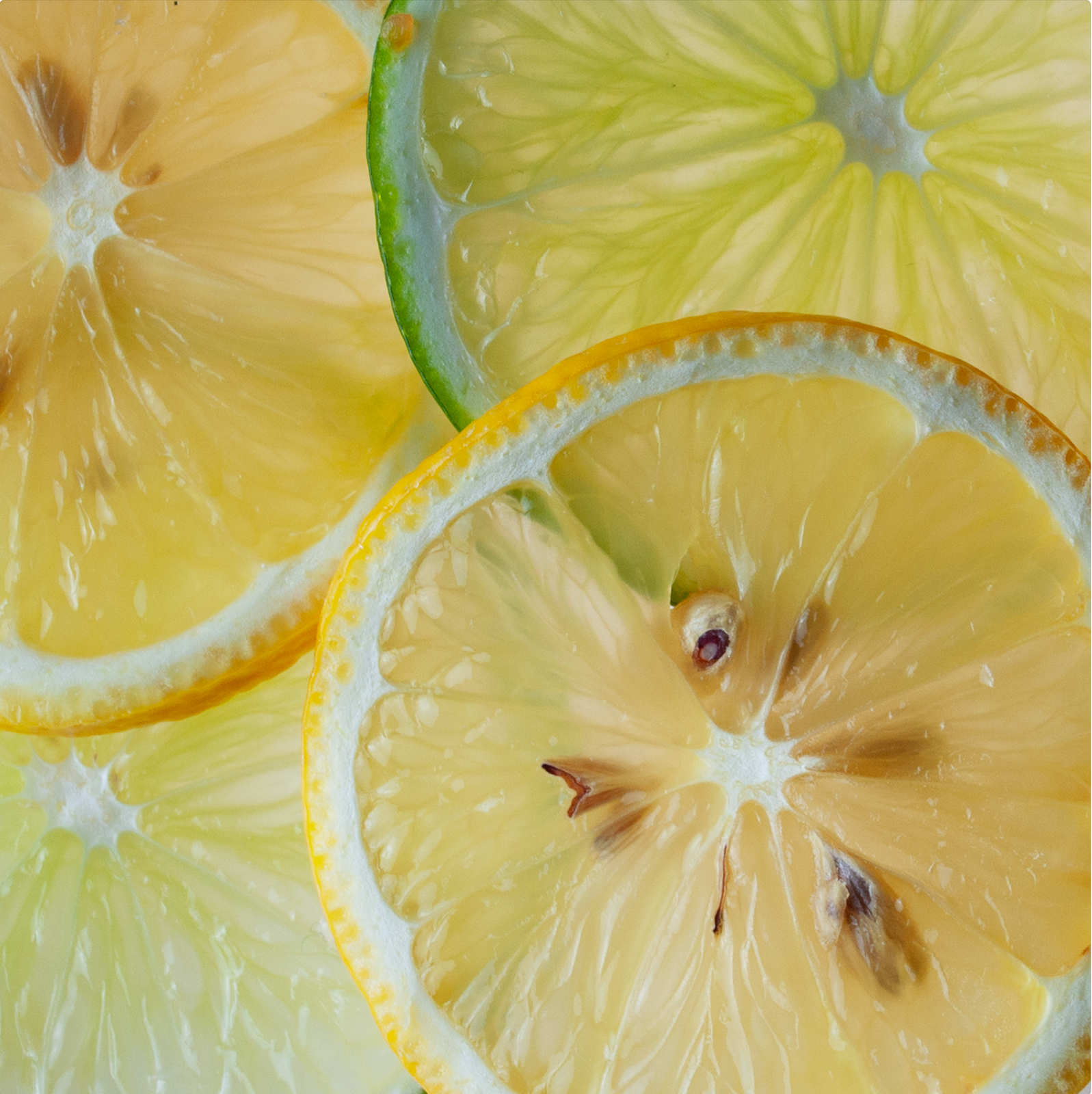 Bright Citrus - Digital Photograph