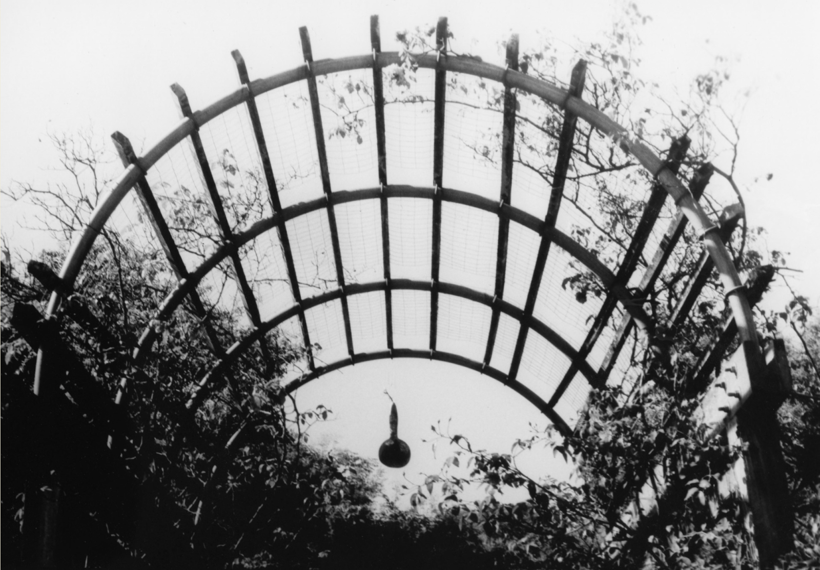 The Arch - Film