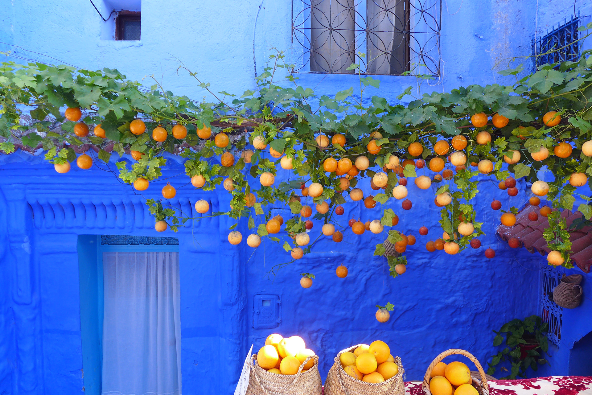 Claire Doh | Chefchaouen Oranges, digital photograph