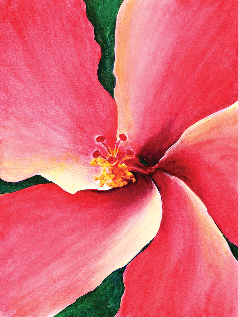 SOLD - Red Hibiscus, 2019.. Colored pencil, 6 x 8 inches.